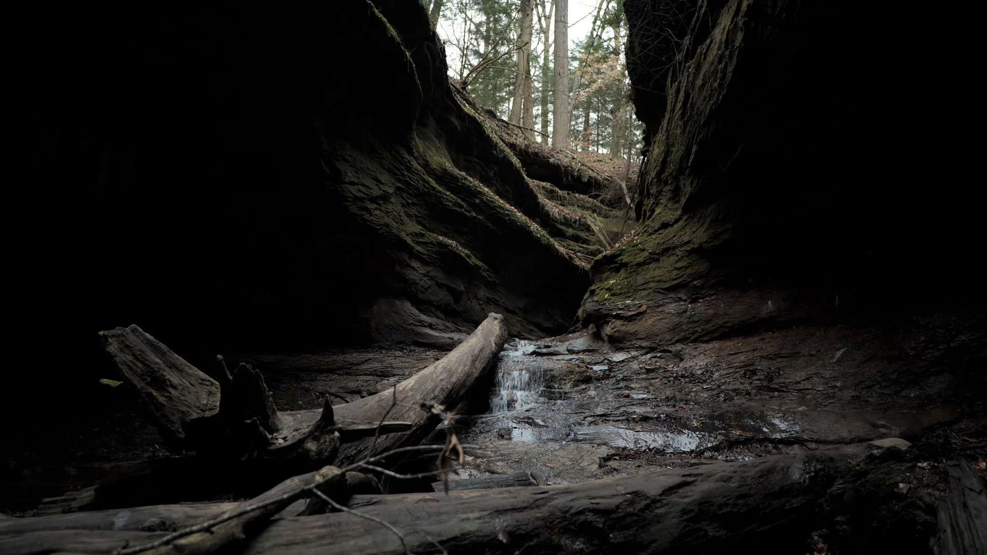 FULL.00_17_08_01.Still002 - Manon Voice.jpg