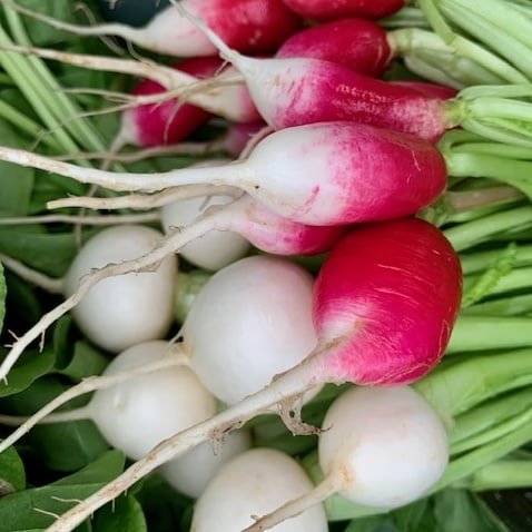 radishes.jpg
