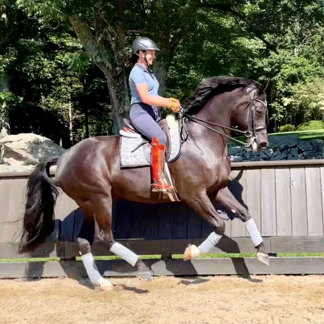 Dressage Clinic -Catherine Haddad-Staller
