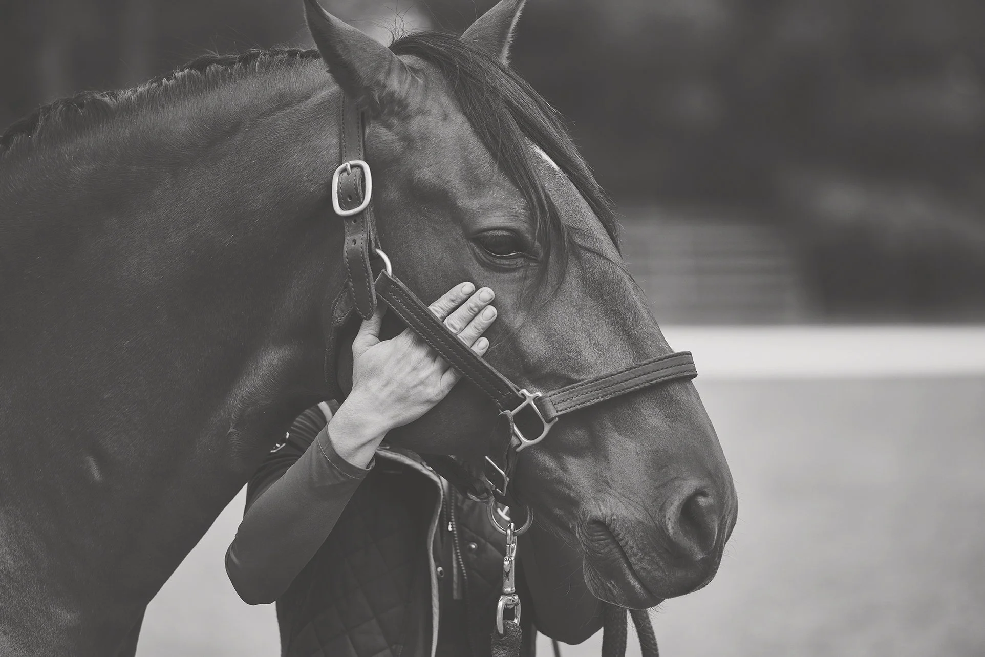 KATRIN_DERREUMAUX_25_ 1818.jpg