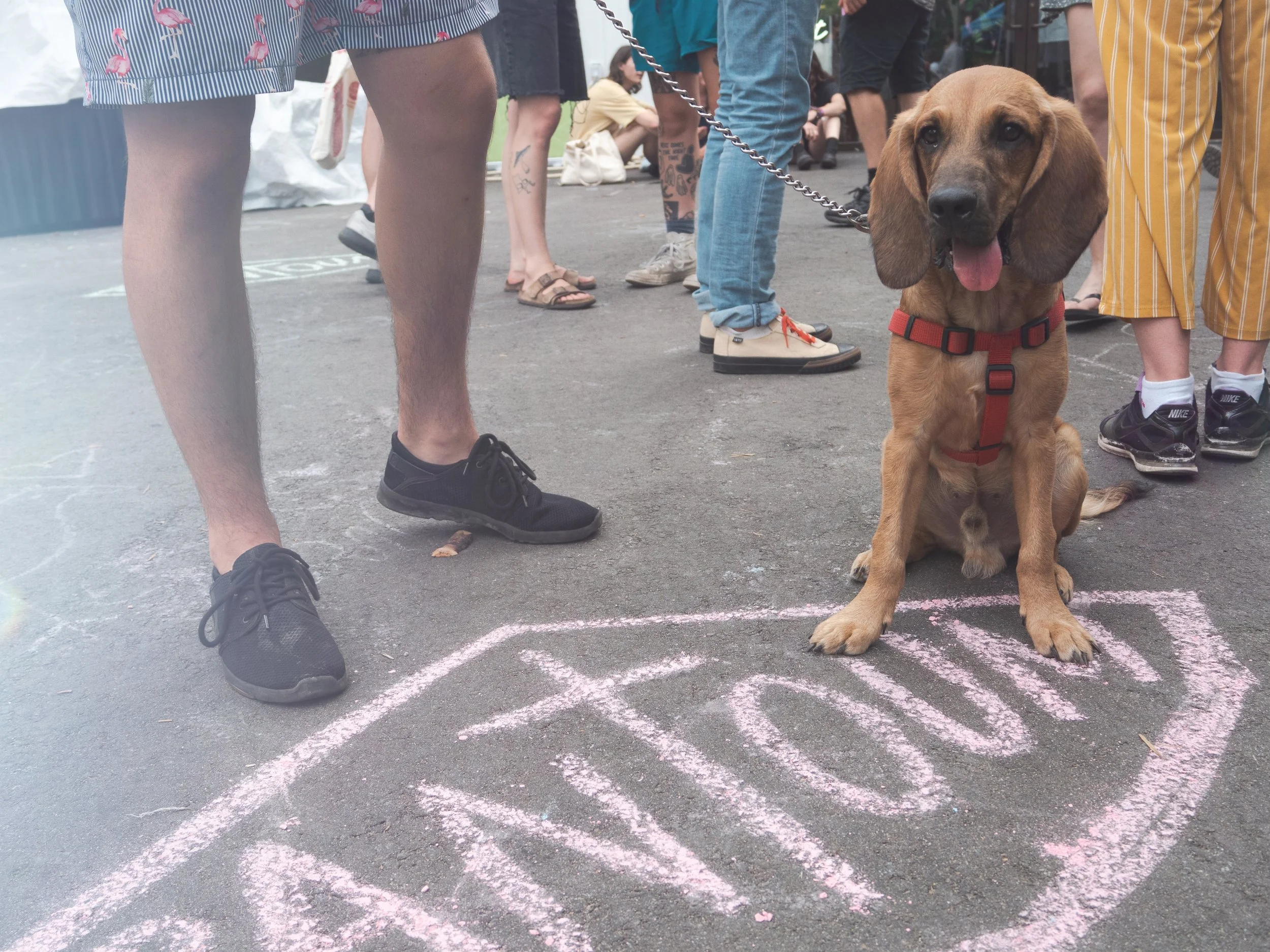 Pantoum_Festif_AUTRES_03.jpg