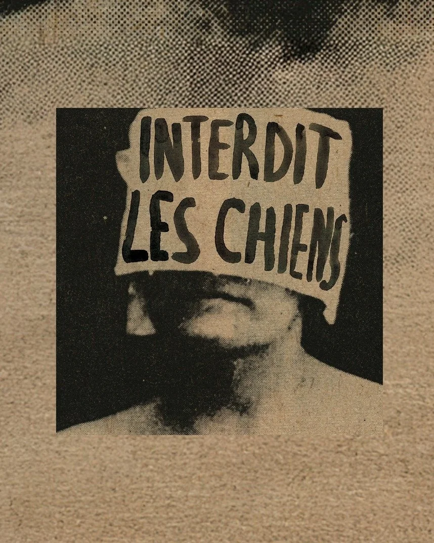 𝐀𝐉𝐎𝐔𝐓 𝐀̀ 𝐋𝐀 𝐏𝐑𝐎𝐆𝐑𝐀𝐌𝐌𝐀𝐓𝐈𝐎𝐍 💥

@interditleschiens d&eacute;barquent au Pantoum le 15 octobre prochain pour le lancement de leur tout premier album !!!!! En mars dernier, ils ont ouvert chez nous pour We Are Wolves et on est vraime