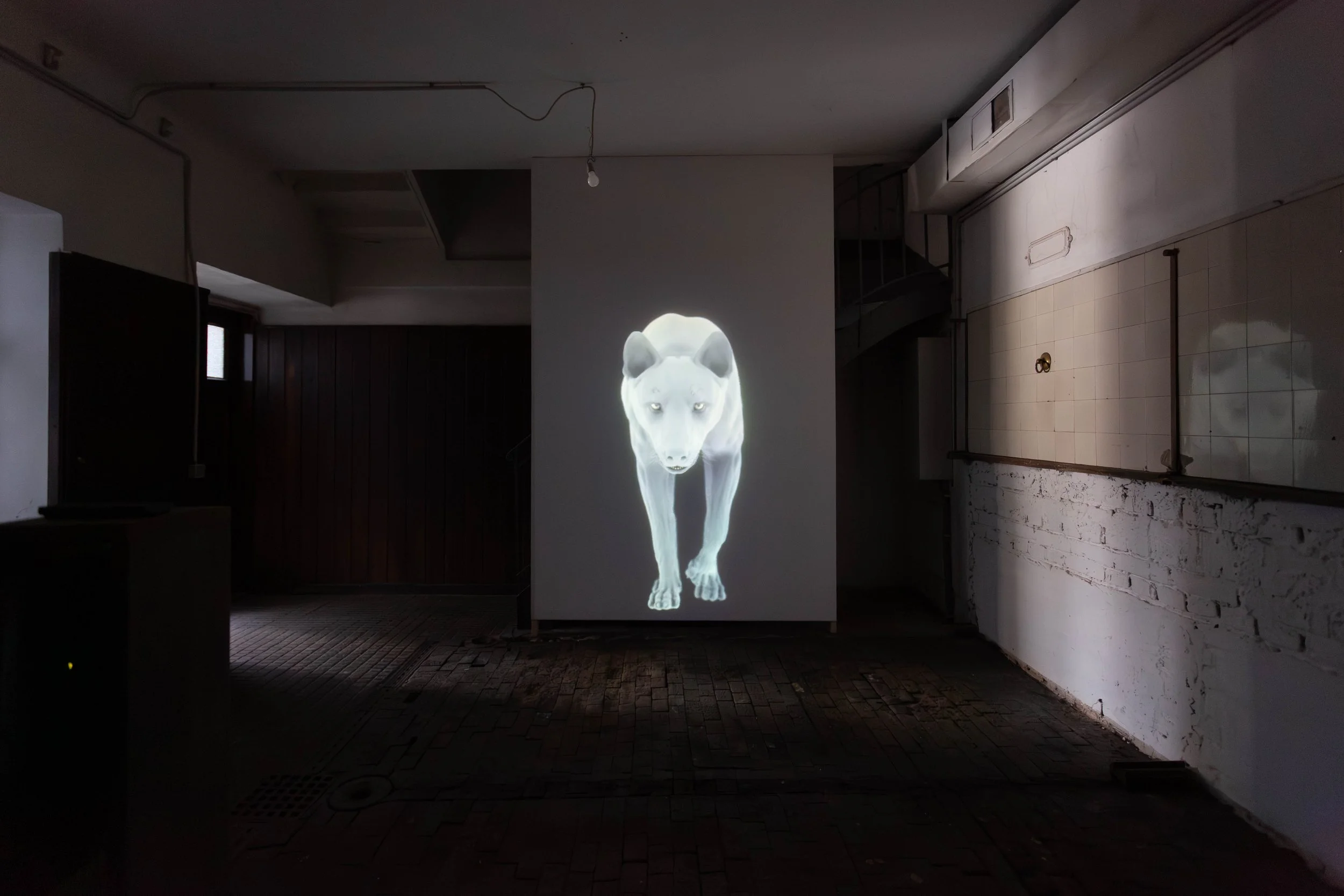   fig1  installation view, Persijn Broersen &amp; Margit Lukács, Smári Róbertsson , East of the Sun,  2026 