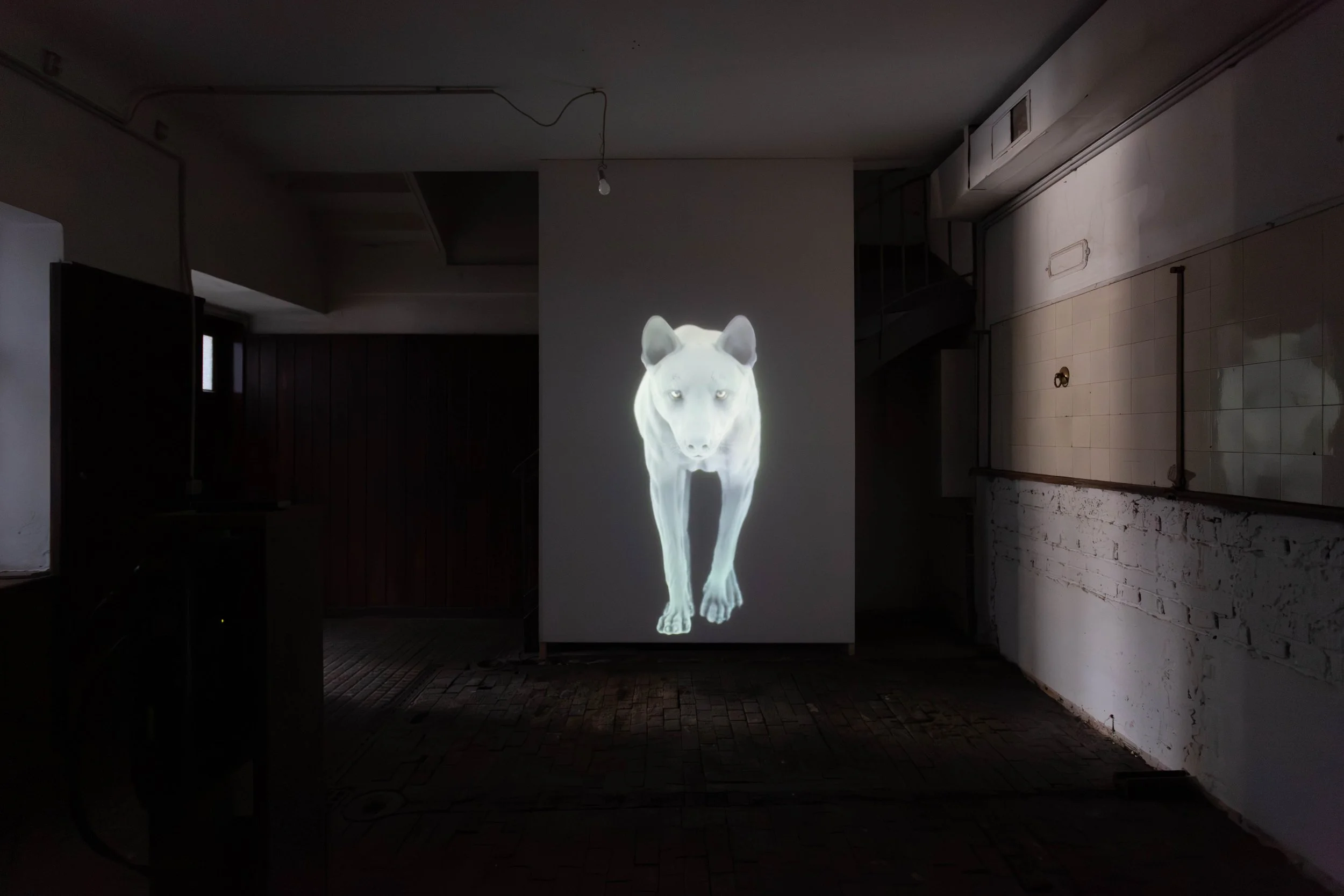   fig3  Persijn Broersen &amp; Margit Lukács, Smári Róbertson,  East of the Sun, West of the Moon , 2022, Video 