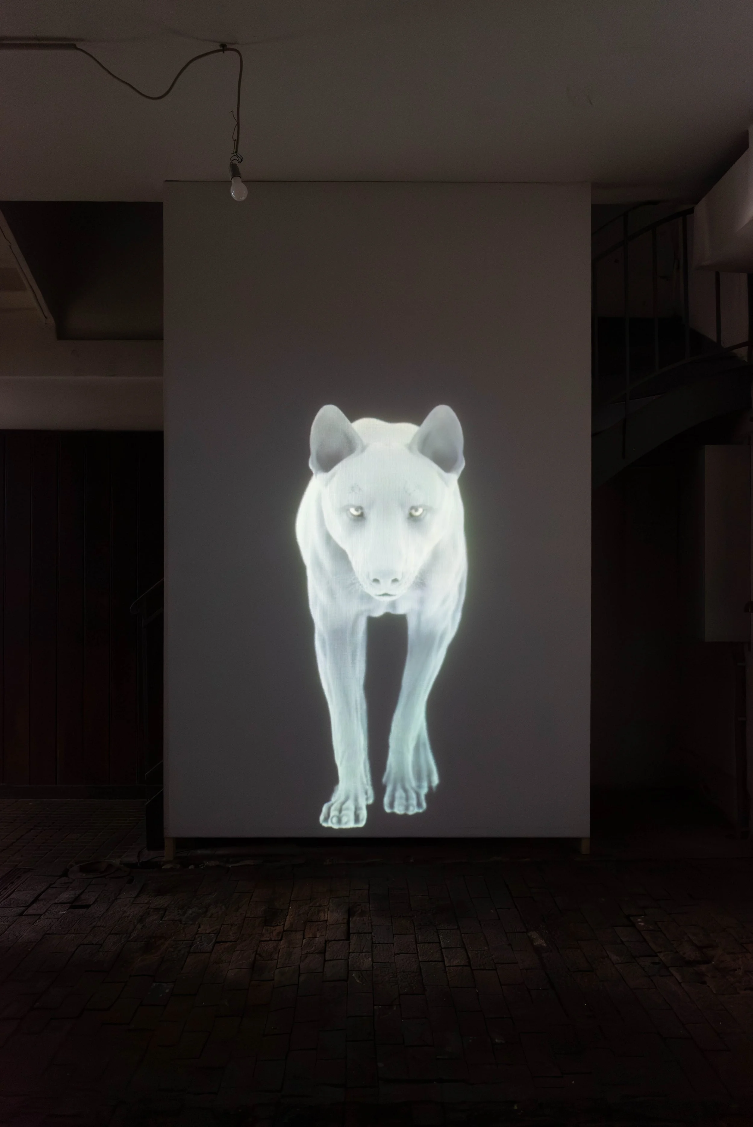   fig4  Persijn Broersen &amp; Margit Lukács, Smári Róbertson,  East of the Sun, West of the Moon , 2022, Video 