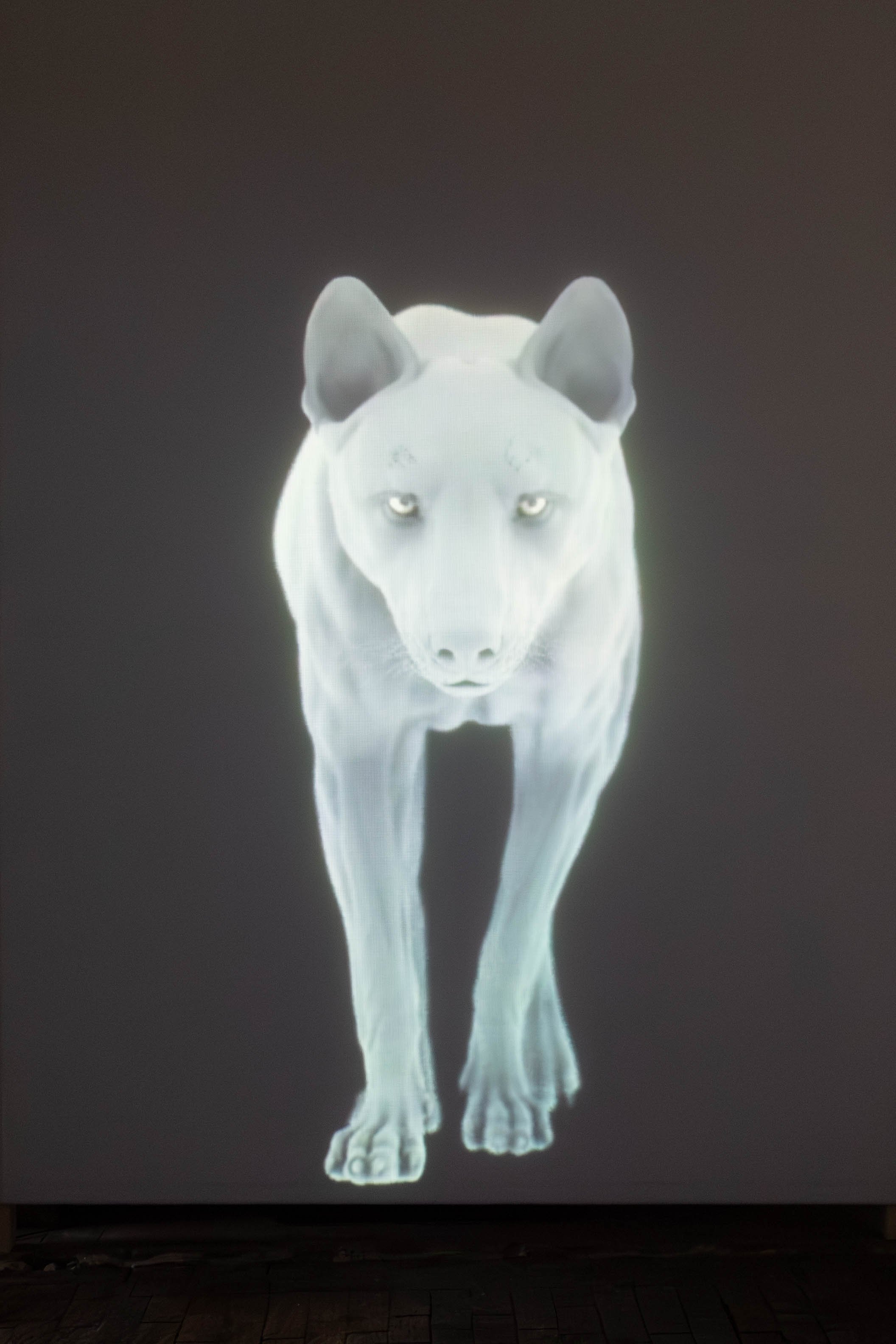   fig5  Persijn Broersen &amp; Margit Lukács, Smári Róbertson,  East of the Sun, West of the Moon , 2022, Video 