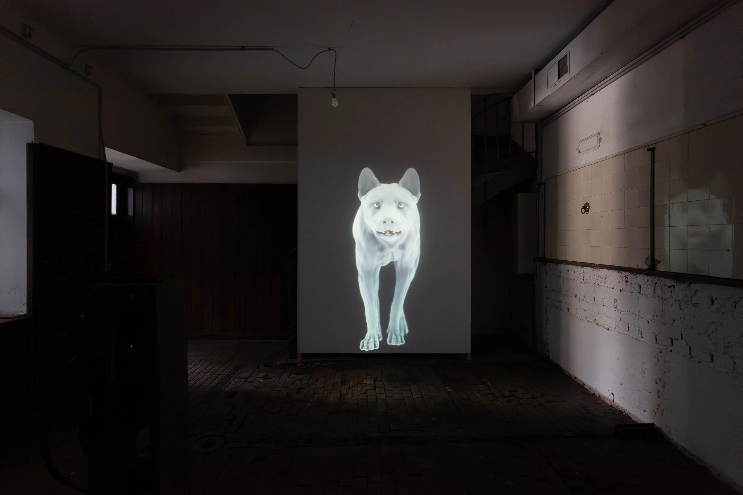   fig7  Persijn Broersen &amp; Margit Lukács, Smári Róbertson,  East of the Sun, West of the Moon , 2022, Video 