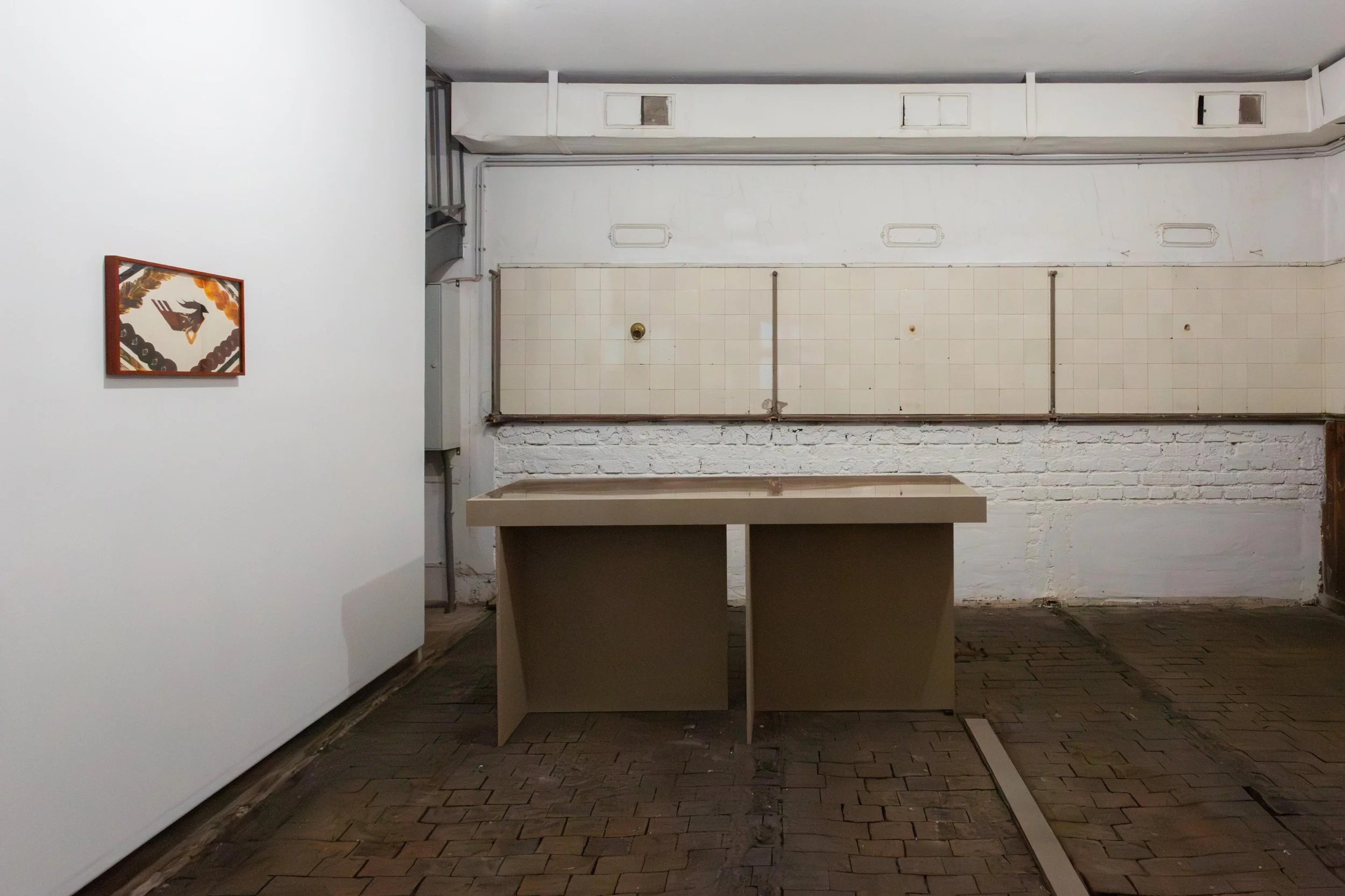   fig11  installation view,  flowers,  2026 