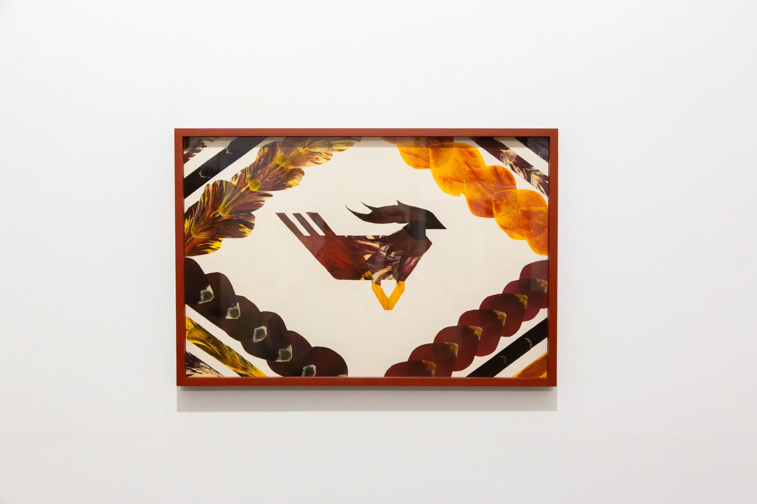   fig12  Jennifer Tee,  Tampan Migration Bird #1 , 2024, piezography on 315 grams museum etching paper, tulip petal collage, 30 × 45 cm 