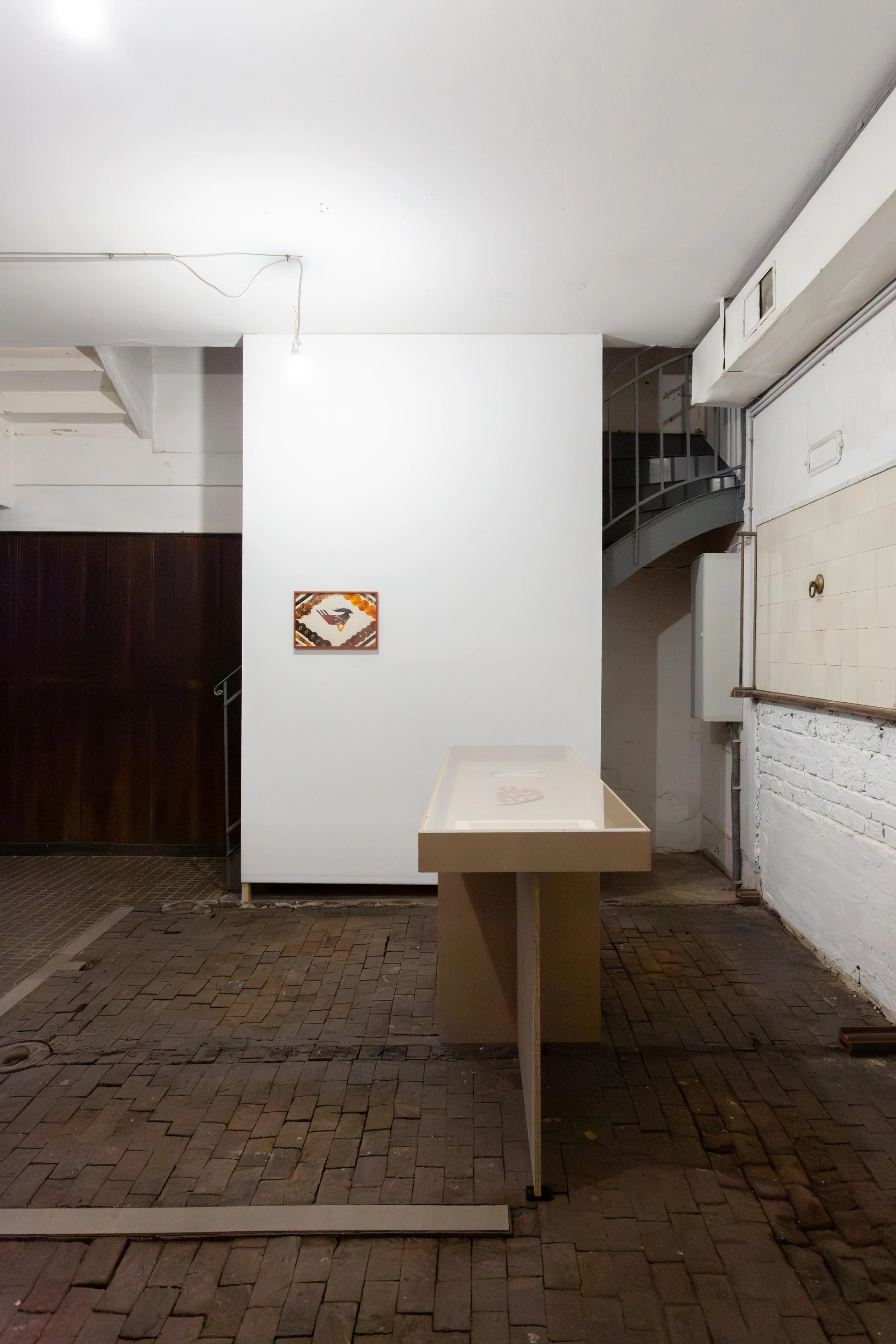   fig13  installation view,  flowers,  2026 