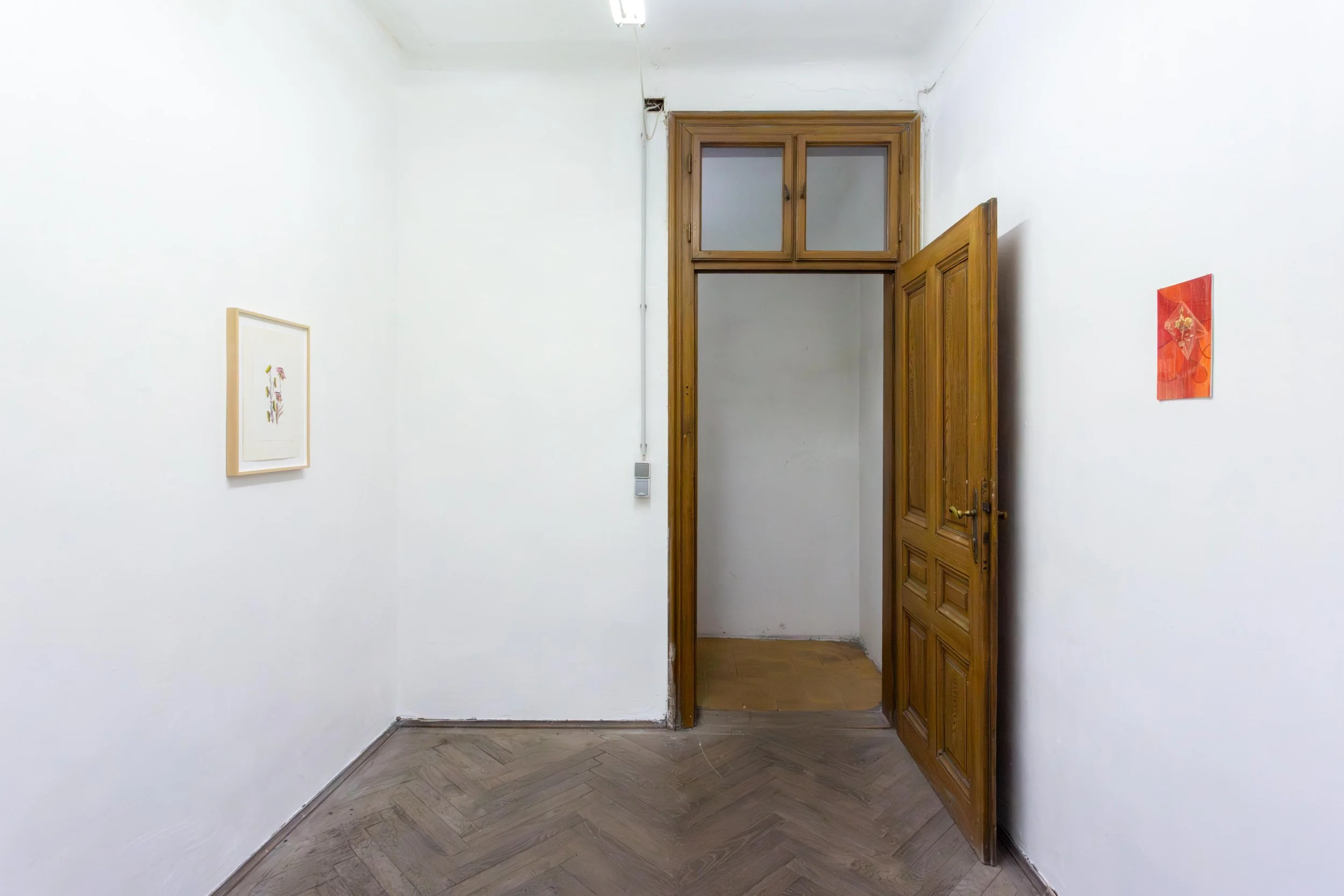   fig20  installation view,  flowers,  2026 