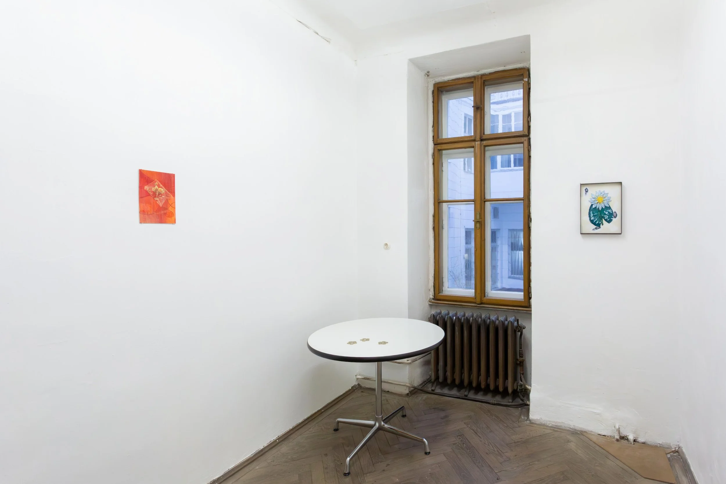   fig26  installation view,  flowers,  2026 