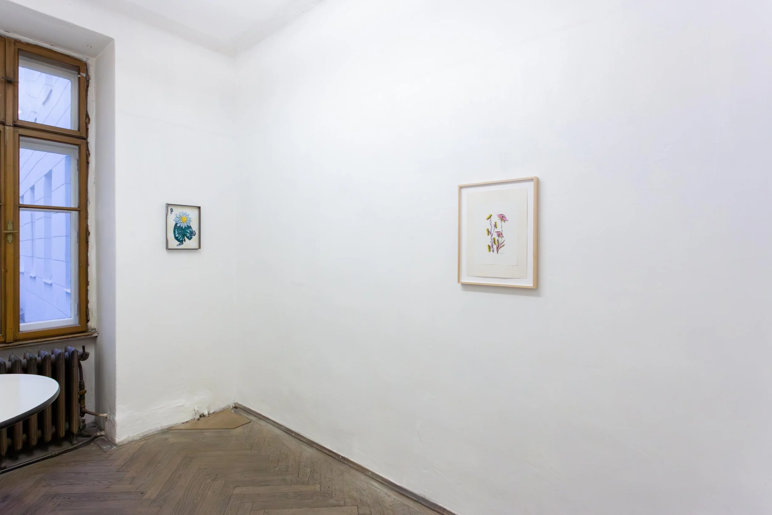   fig27  installation view,  flowers,  2026 