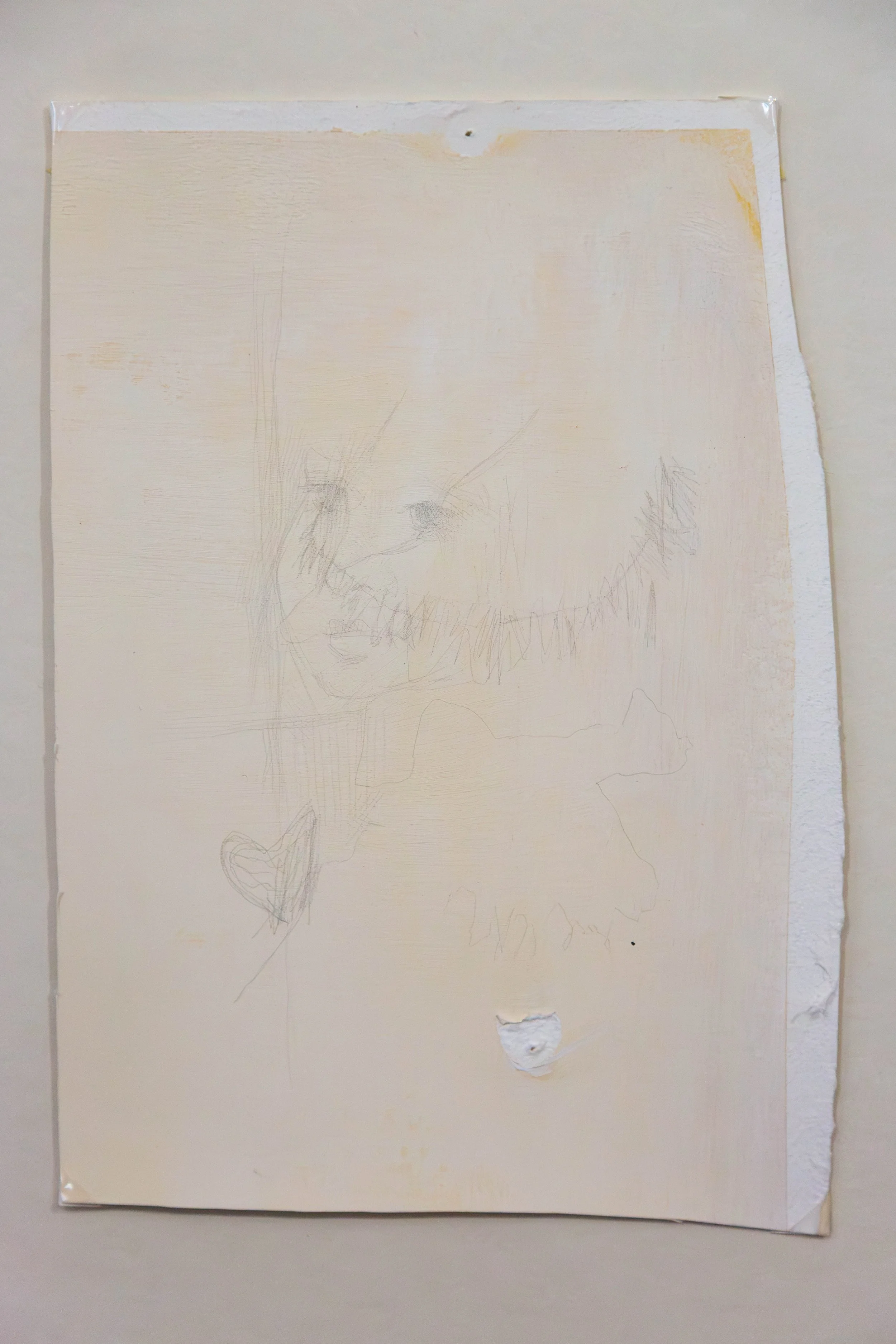   fig4   Courtoisie , 2026, metal point, gesso, gouache on paper, 24,4 x 17 cm 
