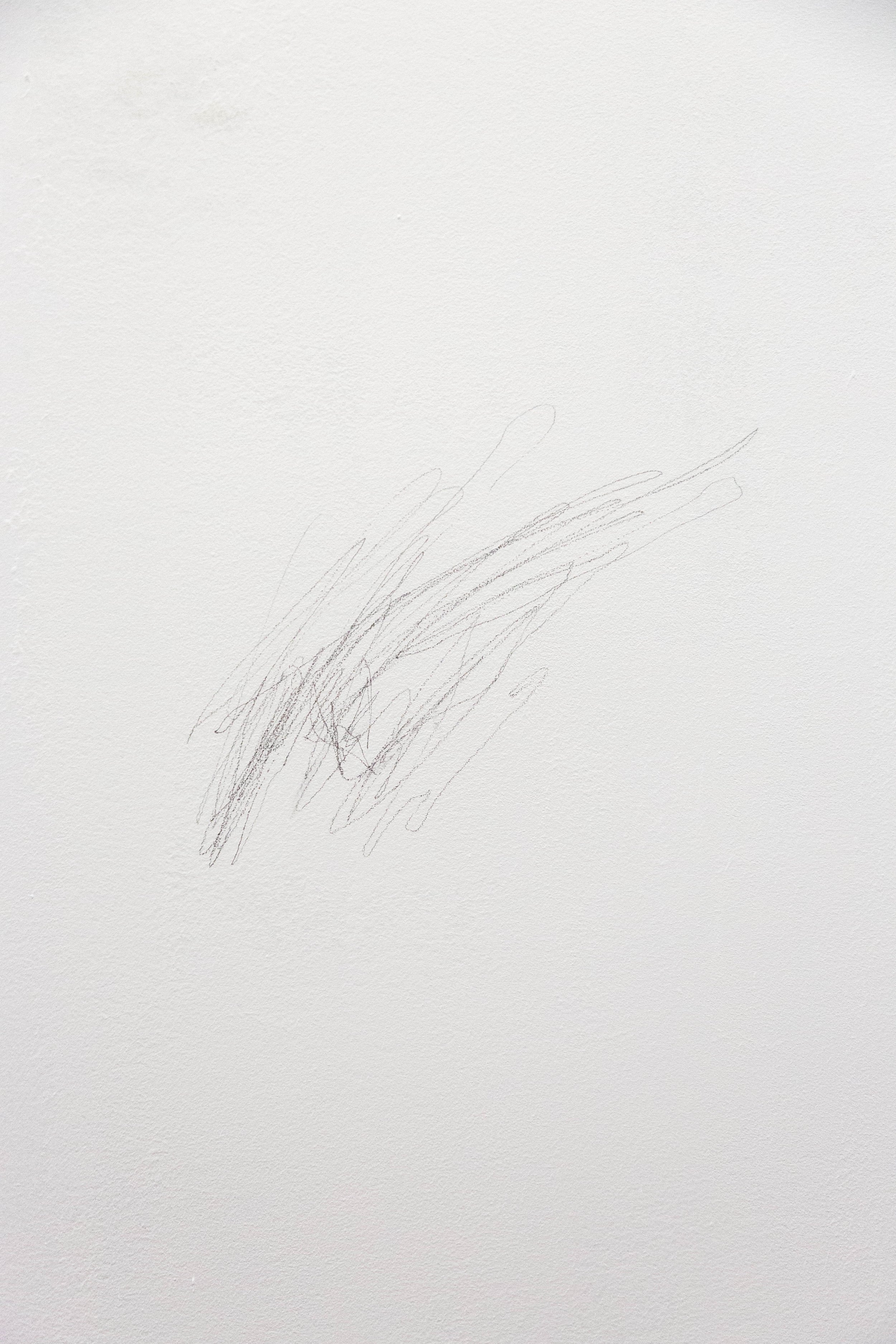   fig20   En lieu , 2026, pencil, red chalk, dimensions variable 