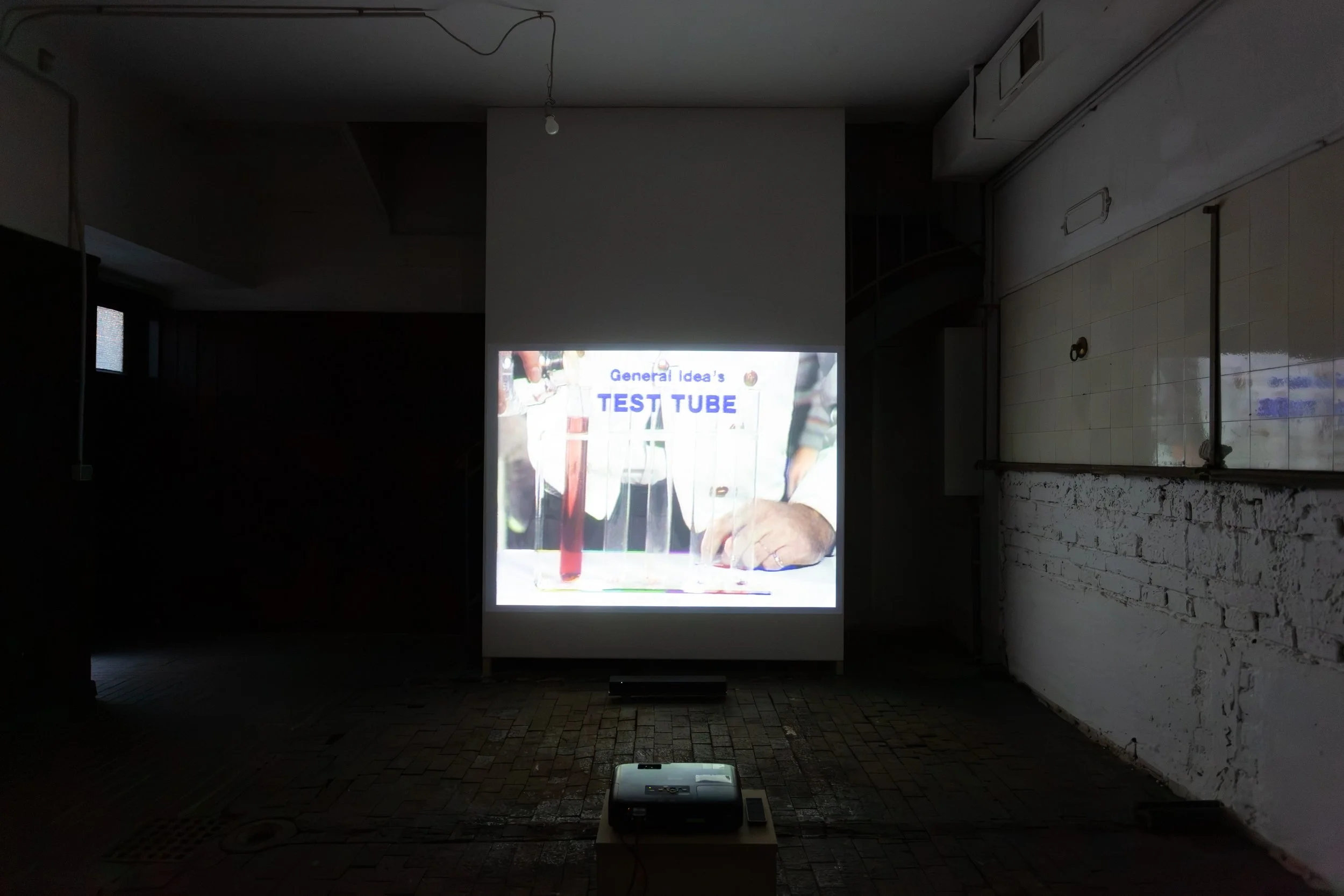   fig13  General Idea,  Test Tube , 1979, Collection &amp; distribution: LI-MA Amsterdam 