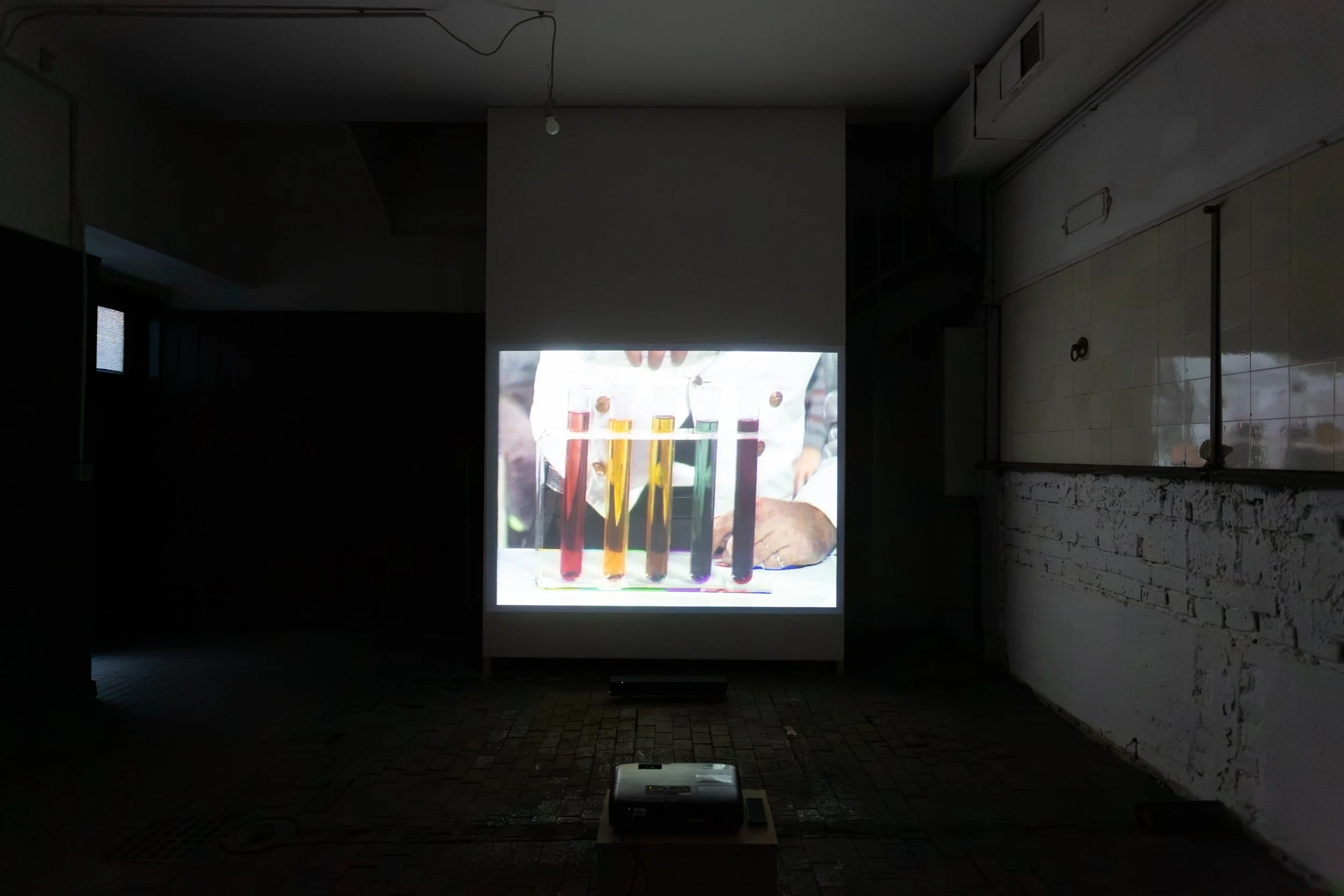   fig14  General Idea,  Test Tube , 1979, Collection &amp; distribution: LI-MA Amsterdam 