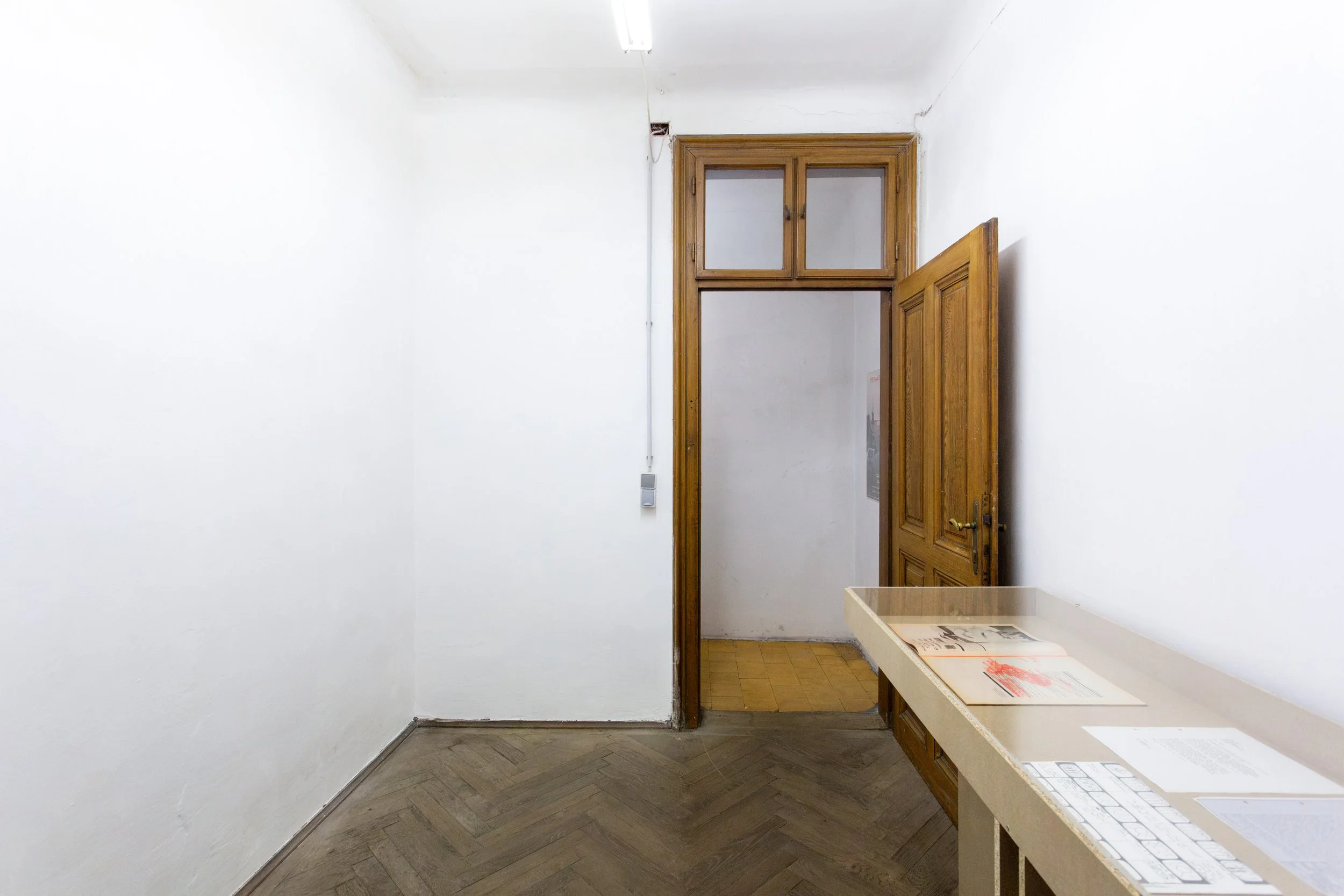   fig45  installation view 