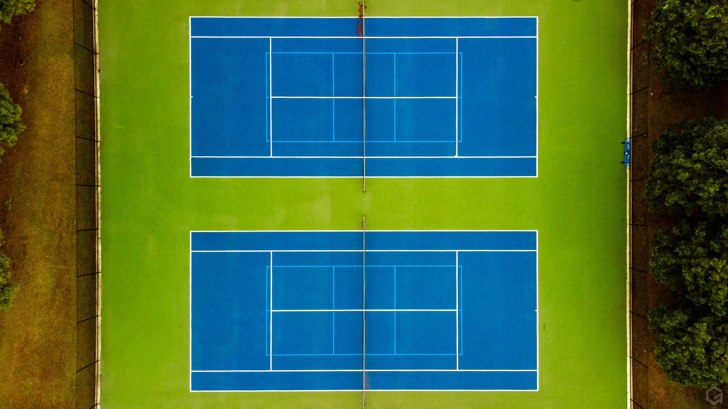 1000177232.jpg