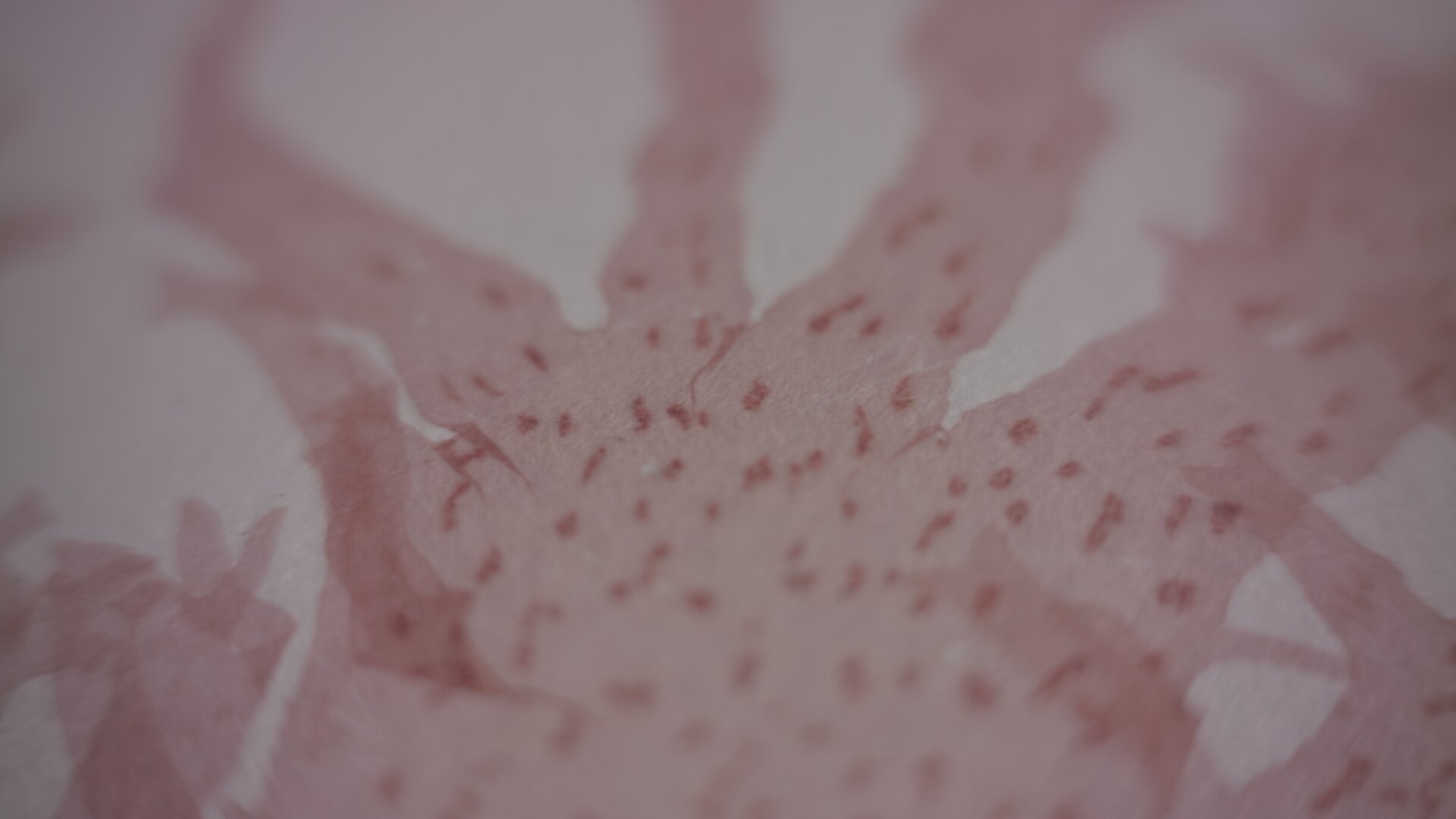 Untitled_1.23.3.jpg