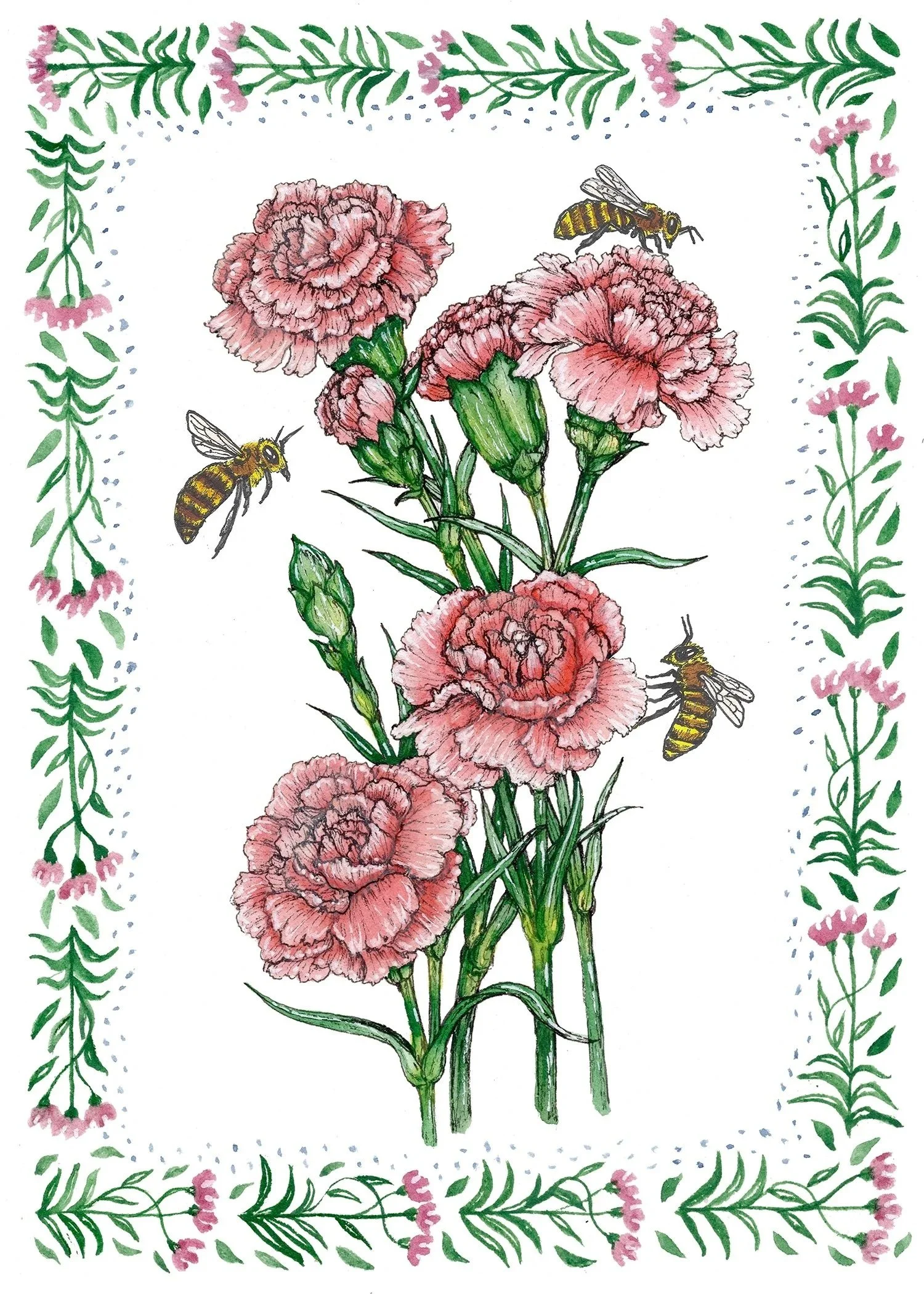 1+Jan+carnation+.jpg (Copy)