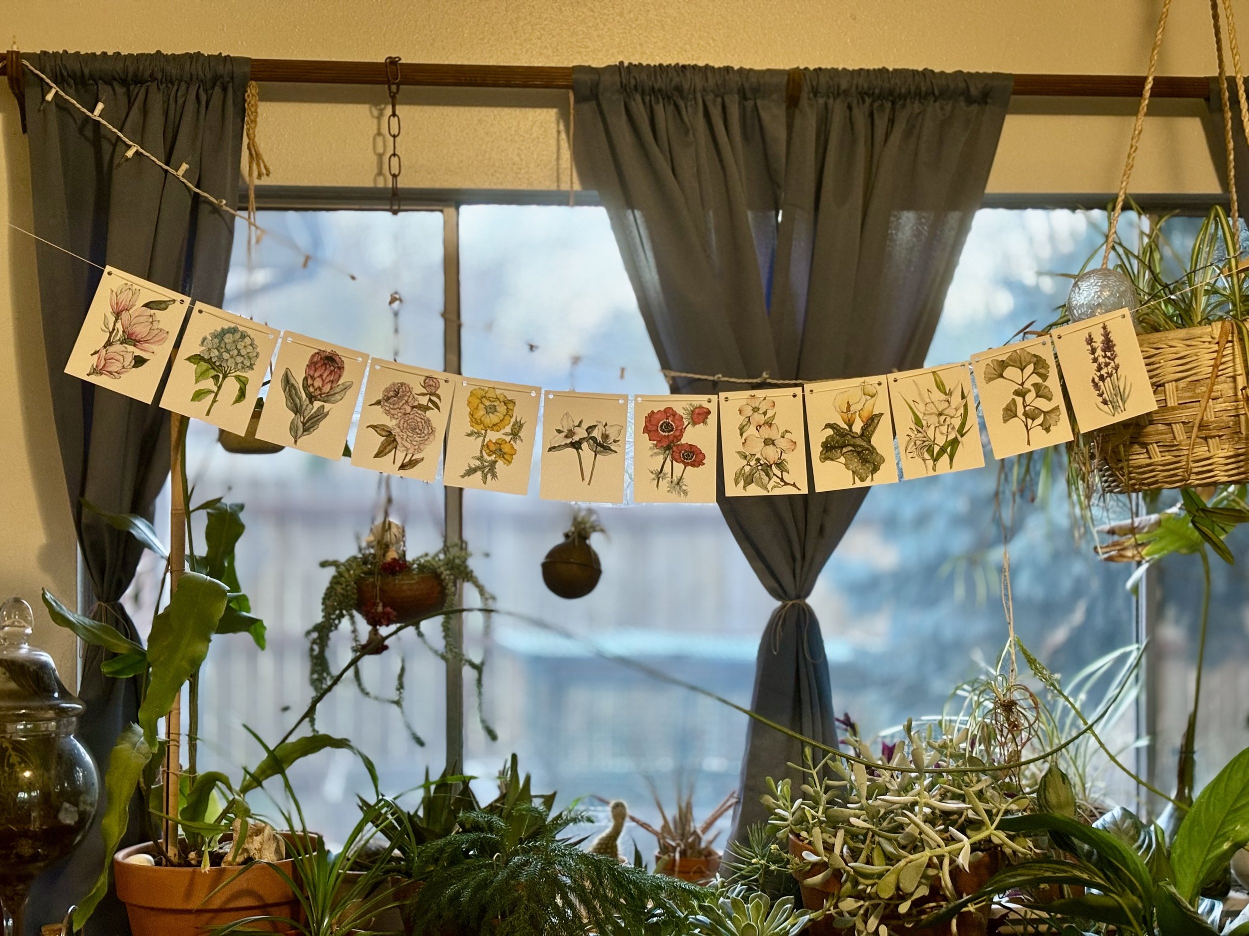 Bunting 2.jpg