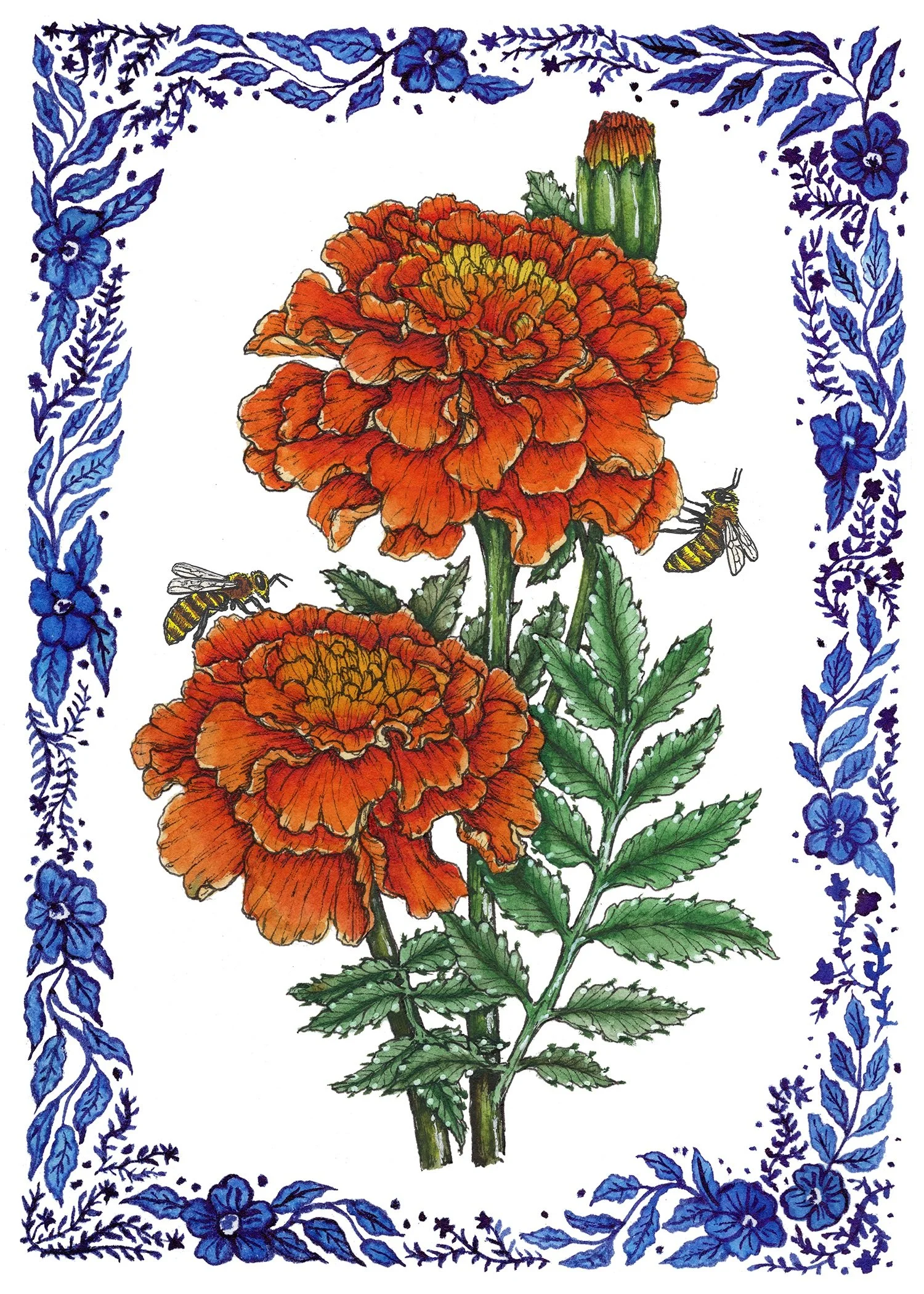 10 Marigold  small.jpg (Copy)