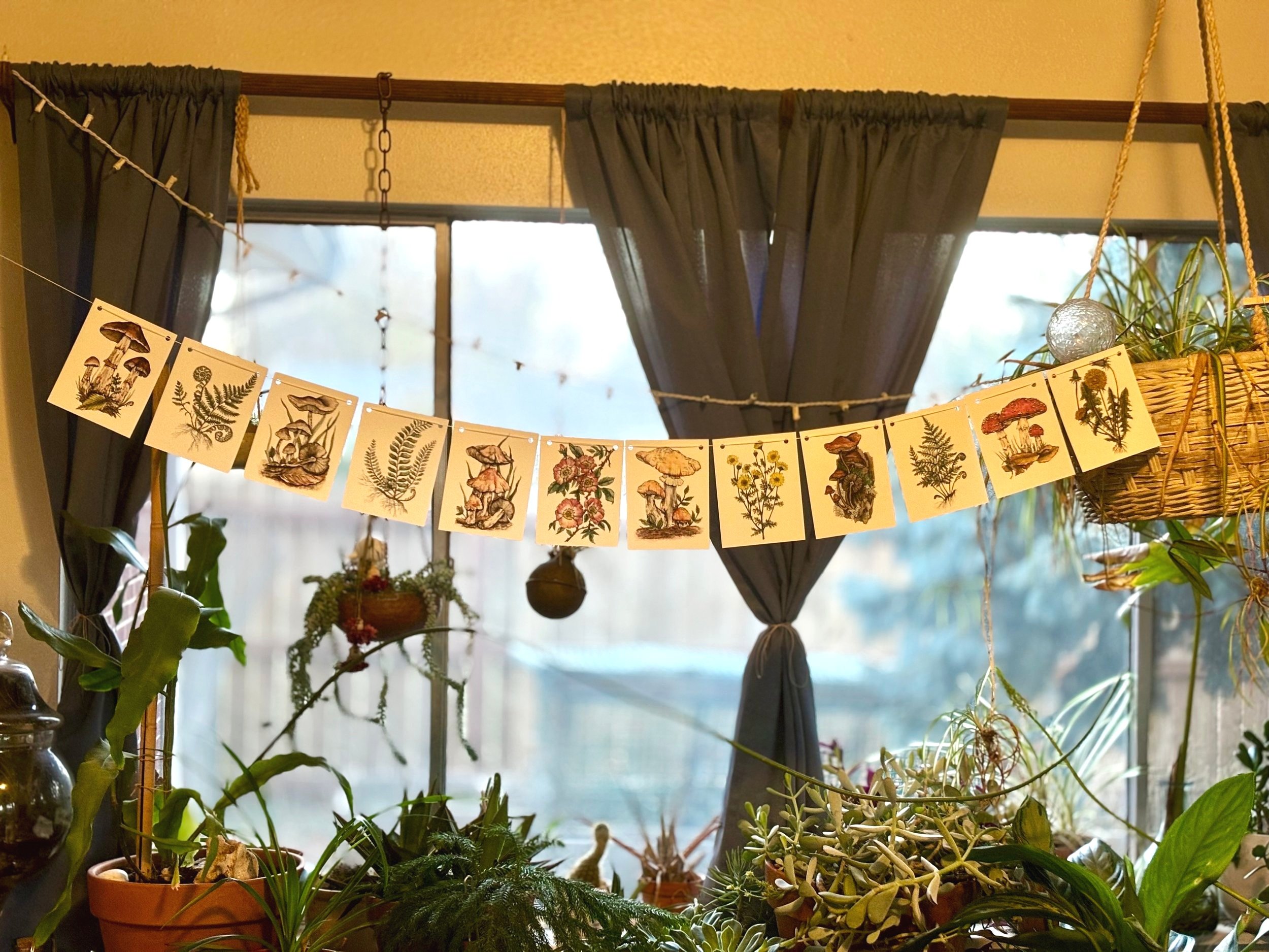 Bunting+1.jpg