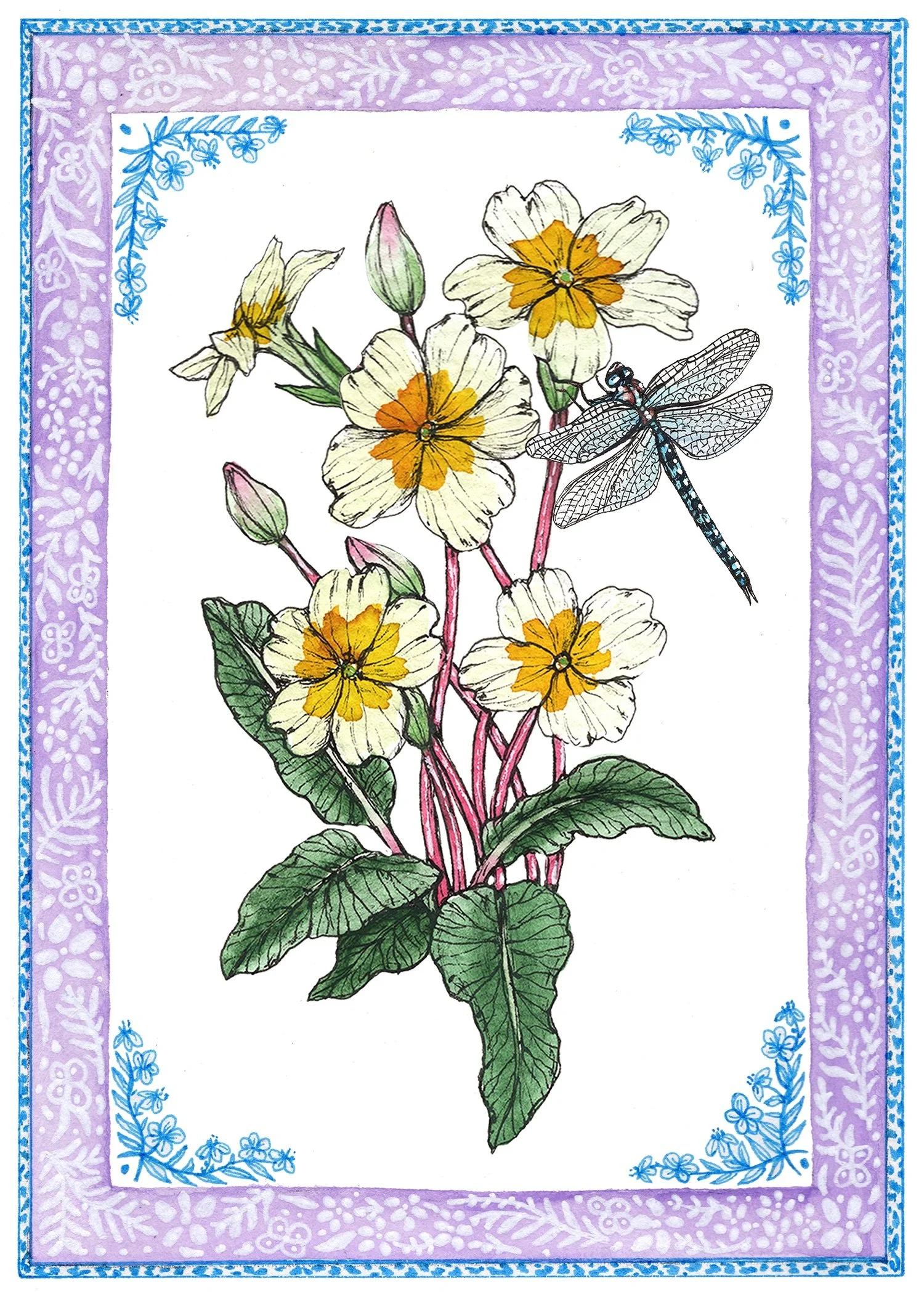 2 februrary small.jpg (Copy)