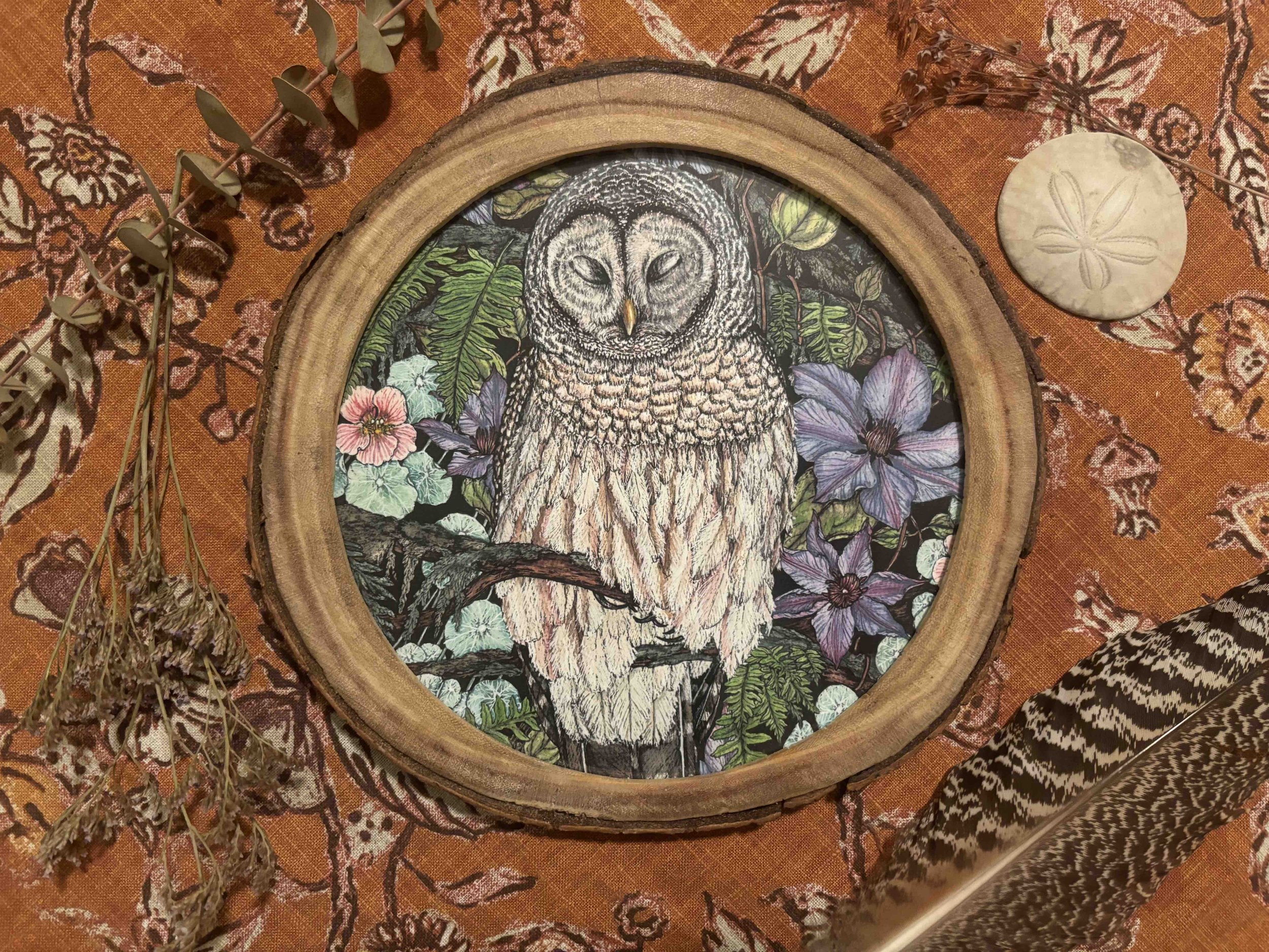 Corcle Owl Frame.jpg