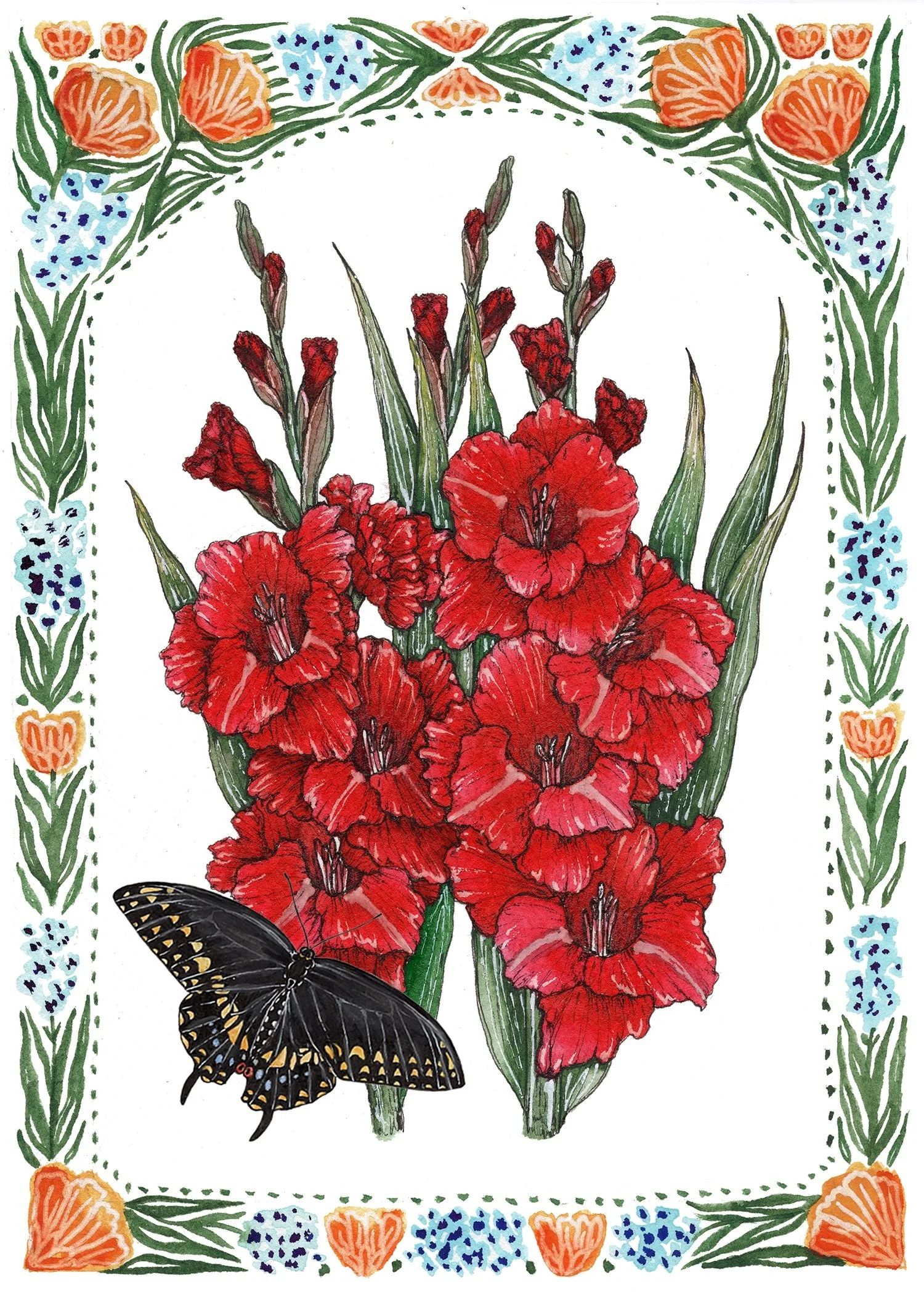 8 gladiolus small.jpg (Copy)