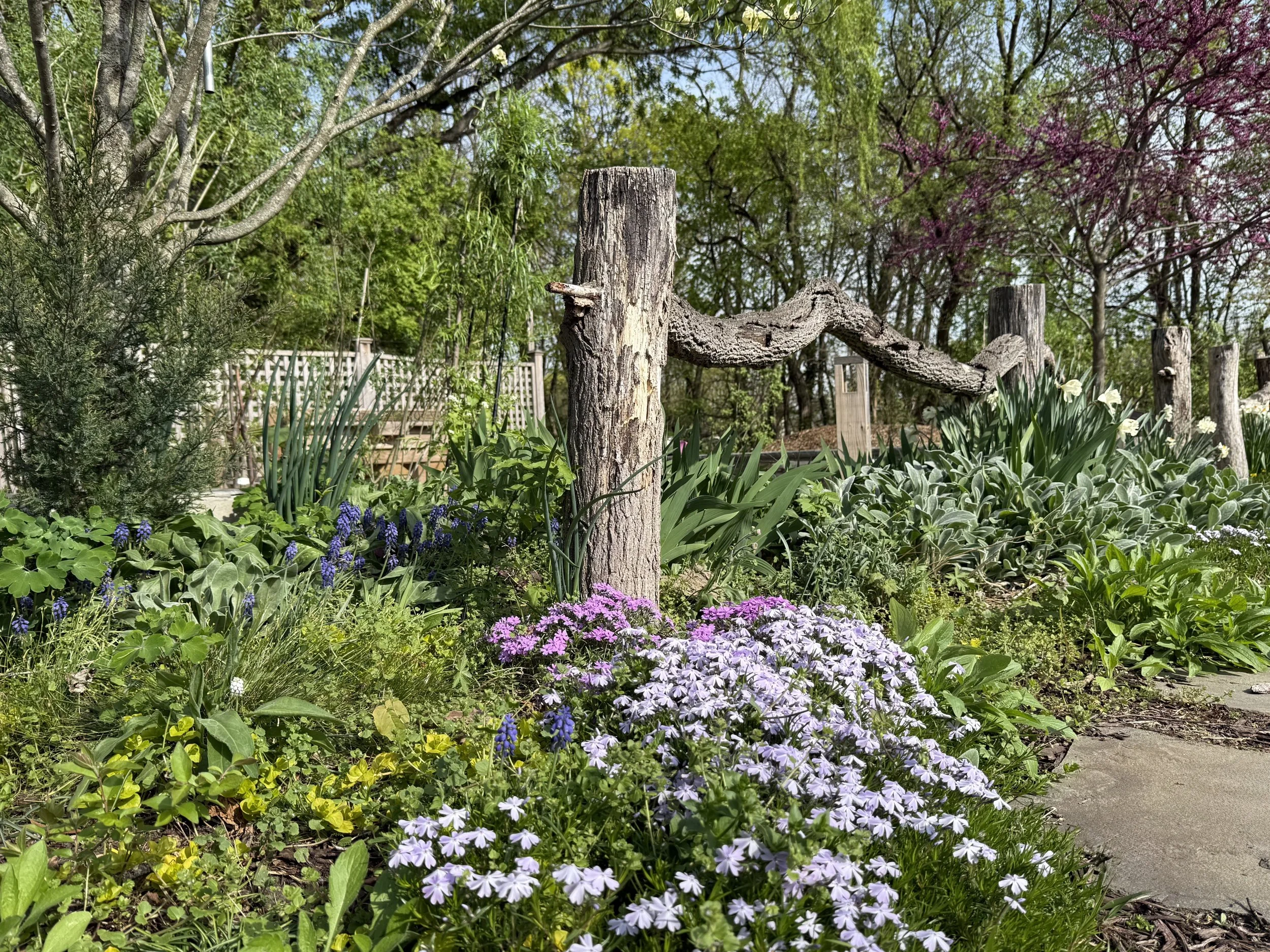 Growing Love Community Garden: A Hidden Treasure in Port Washington