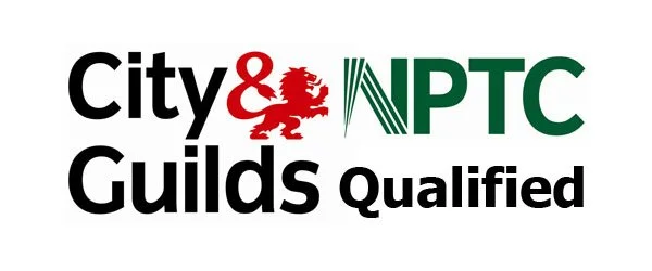NPTC Qualified Tree Surgeon