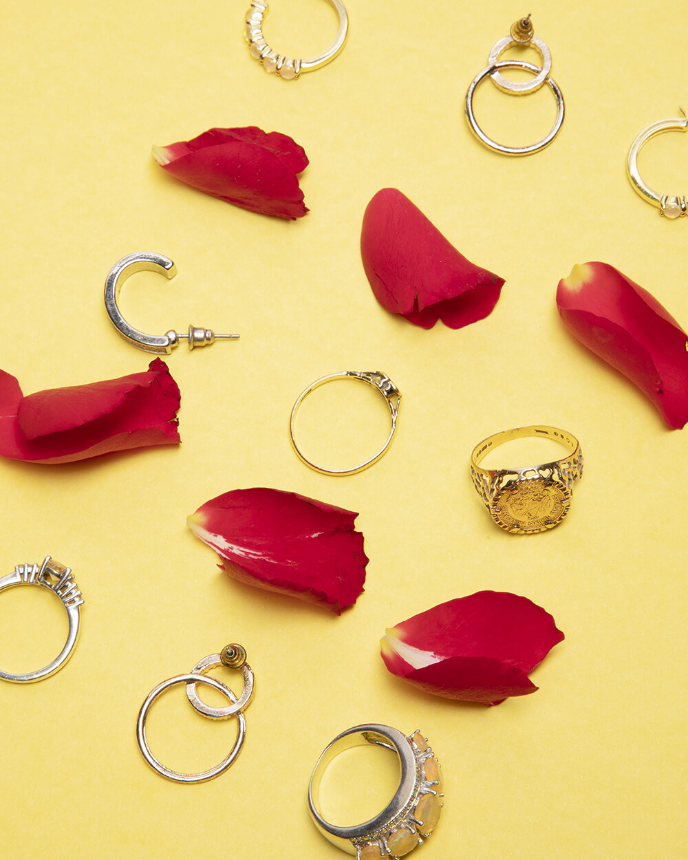 Leeds Arts University_Level 4_Studio_Still Portrait_Grandma_Red Petals_Rings_Jewellery_Yellow_.jpg