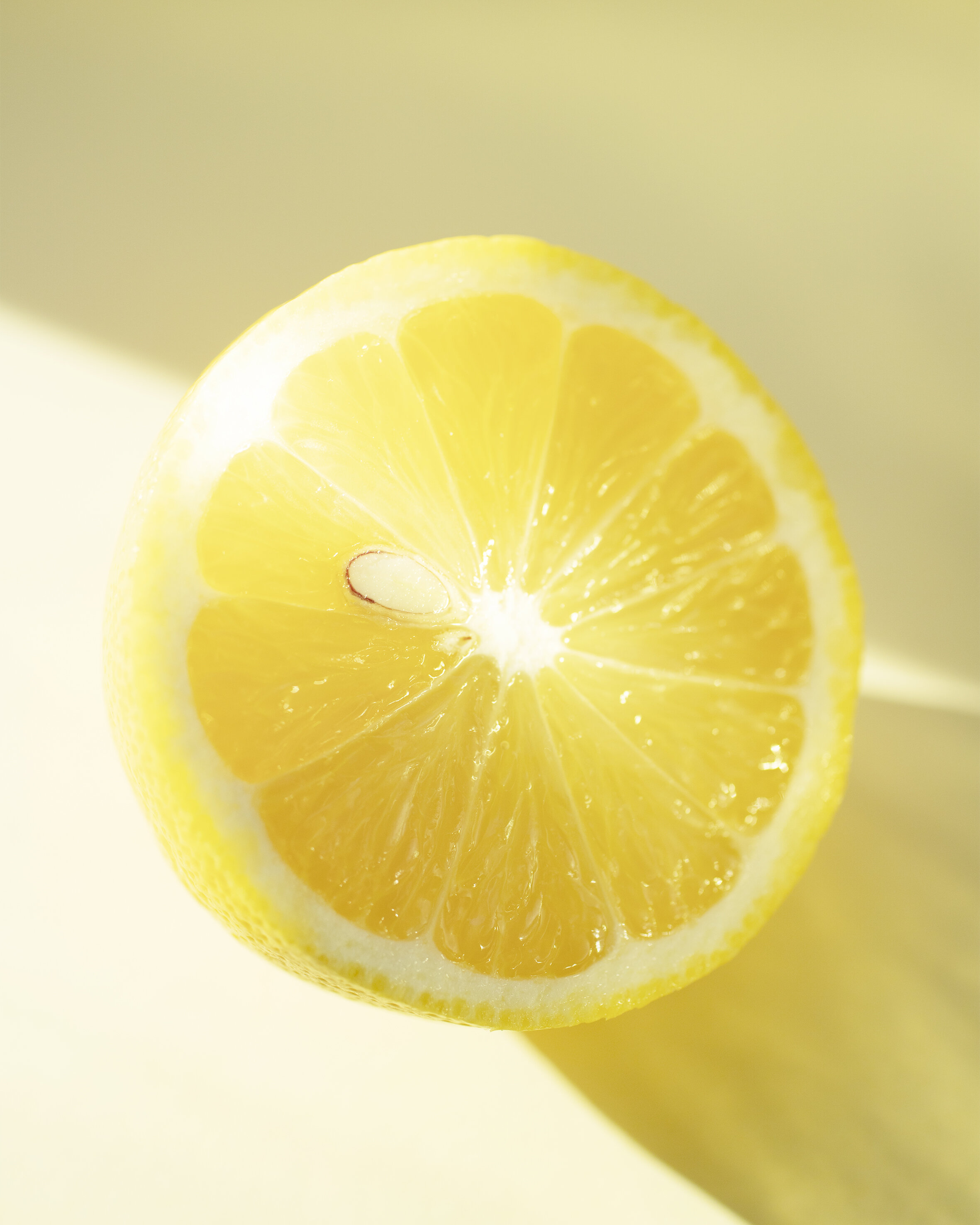 38. Lemon_Questioning_One pip_Focus_.jpg