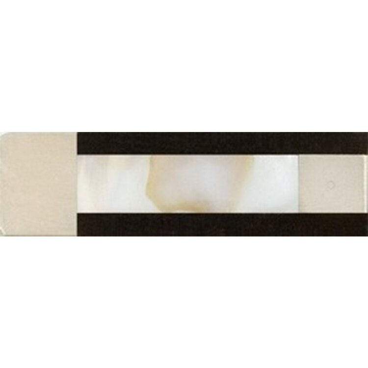 Samuel Eastman Brazil Wood Violin Bow