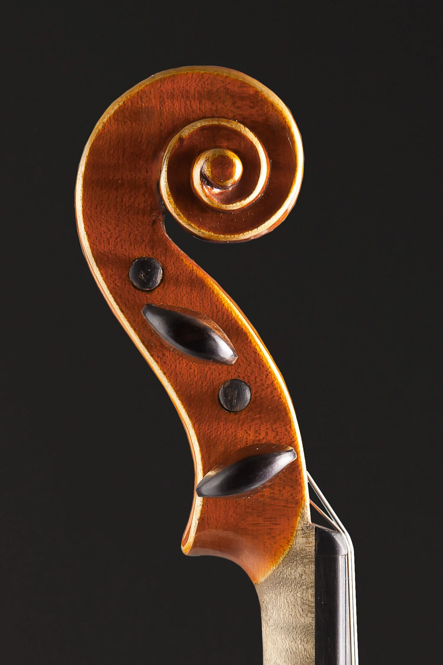 c 2023 4/4 Italian Violin by Vincenzo Paulo Moretti