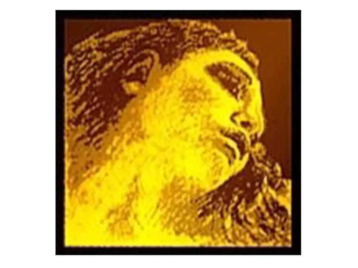 Evah GOLD Violin Strings, with Gold or Silver G (full set or individual strings) (17-450)