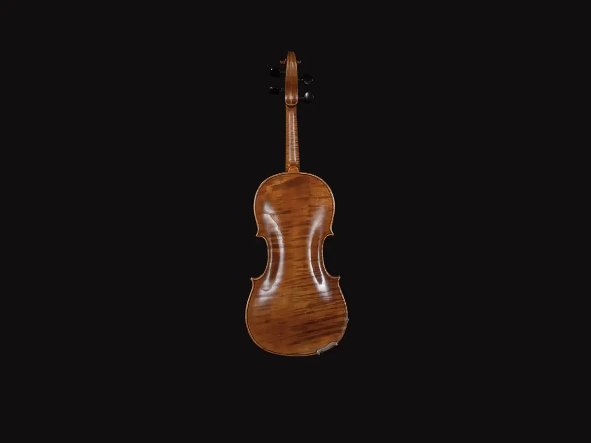 CC113-F.2.webp