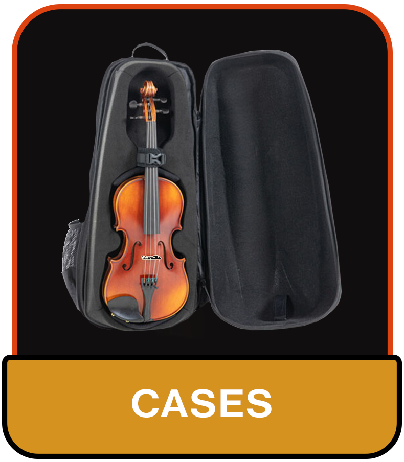 CASES