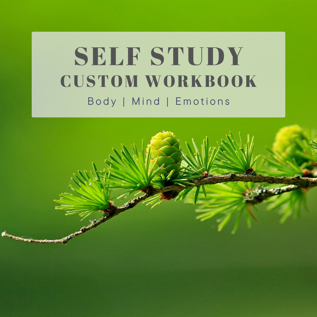 Custom Fitness Workbook