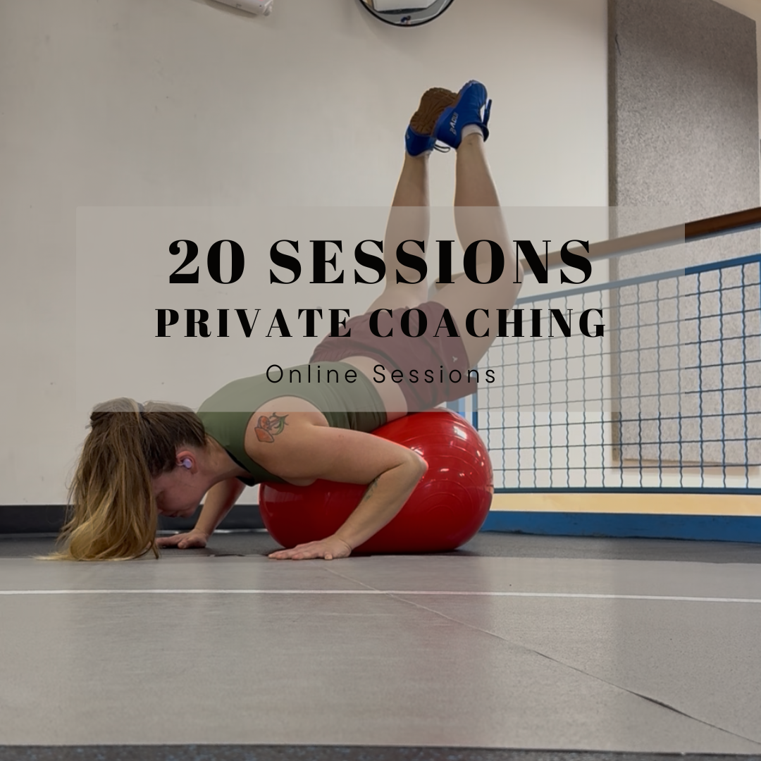 20 Online Coaching Sessions
