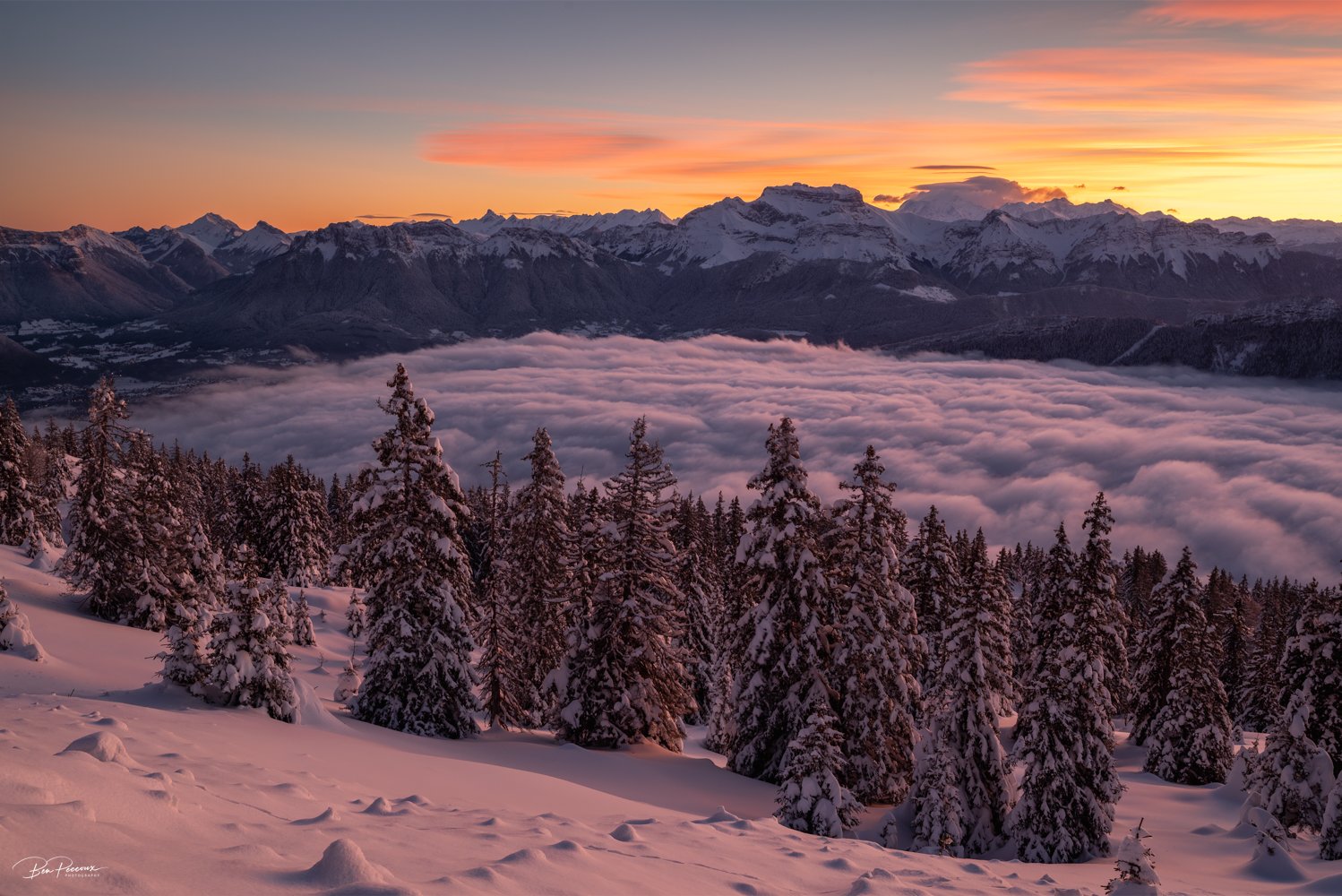 DSC_7978-HDR-Enhanced-NR.jpg