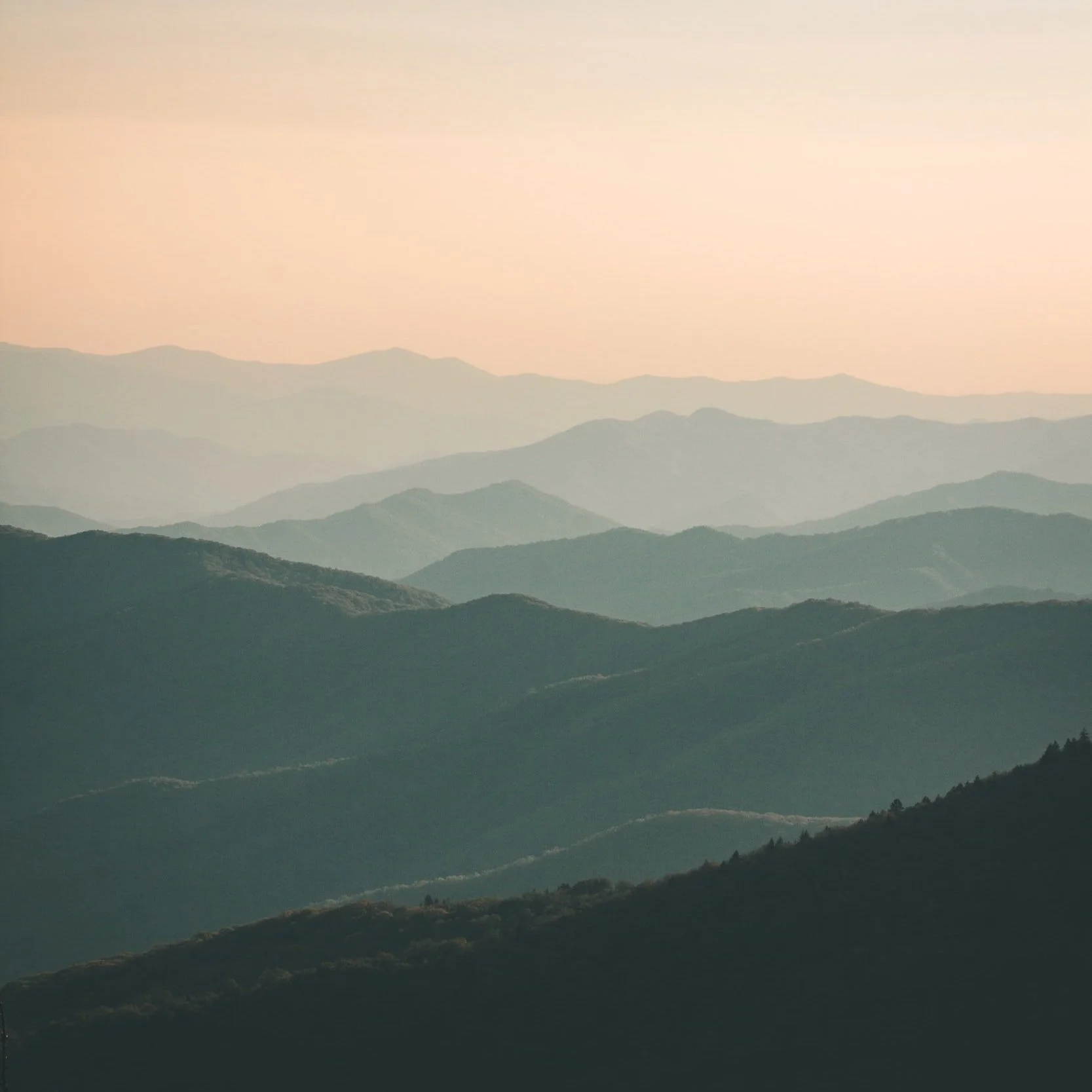 unsplash-image-HDd-NQ_AMNQ.jpg