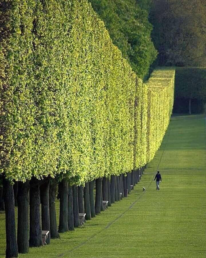 Moving with kind awareness