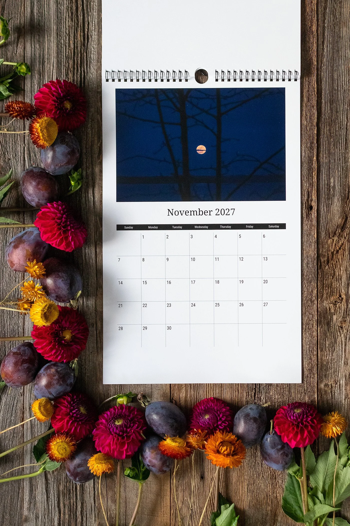 November2027.jpg