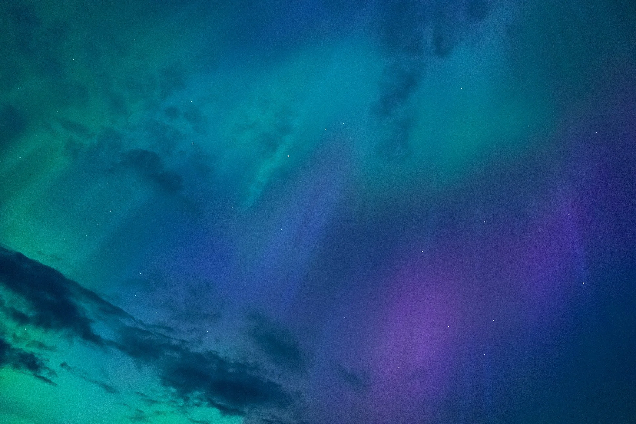 15B70B95-5702-4A70-A6B9-E66A7FC6CEBF.jpeg