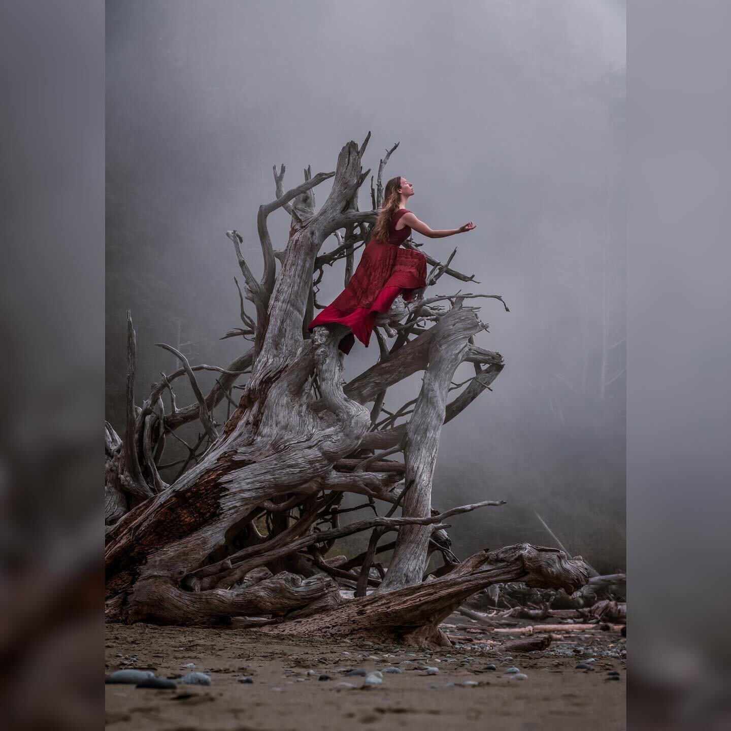 Reaching for the unknown! Allowing what you find to guide you to places! 

#weadventuresoon 

Camera ~ r5 @canonusa 
Model ~ @elizabethgadd 
 
#wildycreative #cangeotravel #canada #TourCanada #natureiswaiting #worldshares  #driventoexplore #fueledbyc