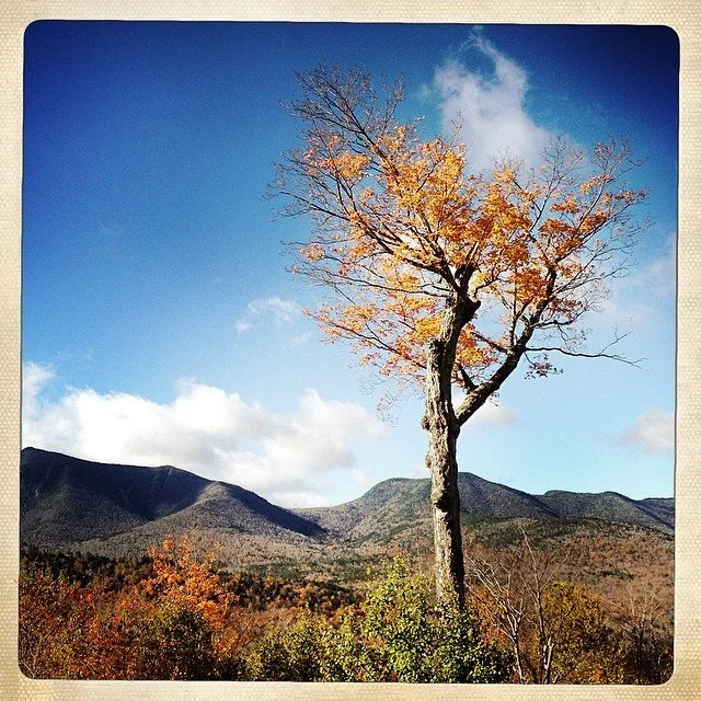 Kancamagus Highway, Lincoln, New Hampshire