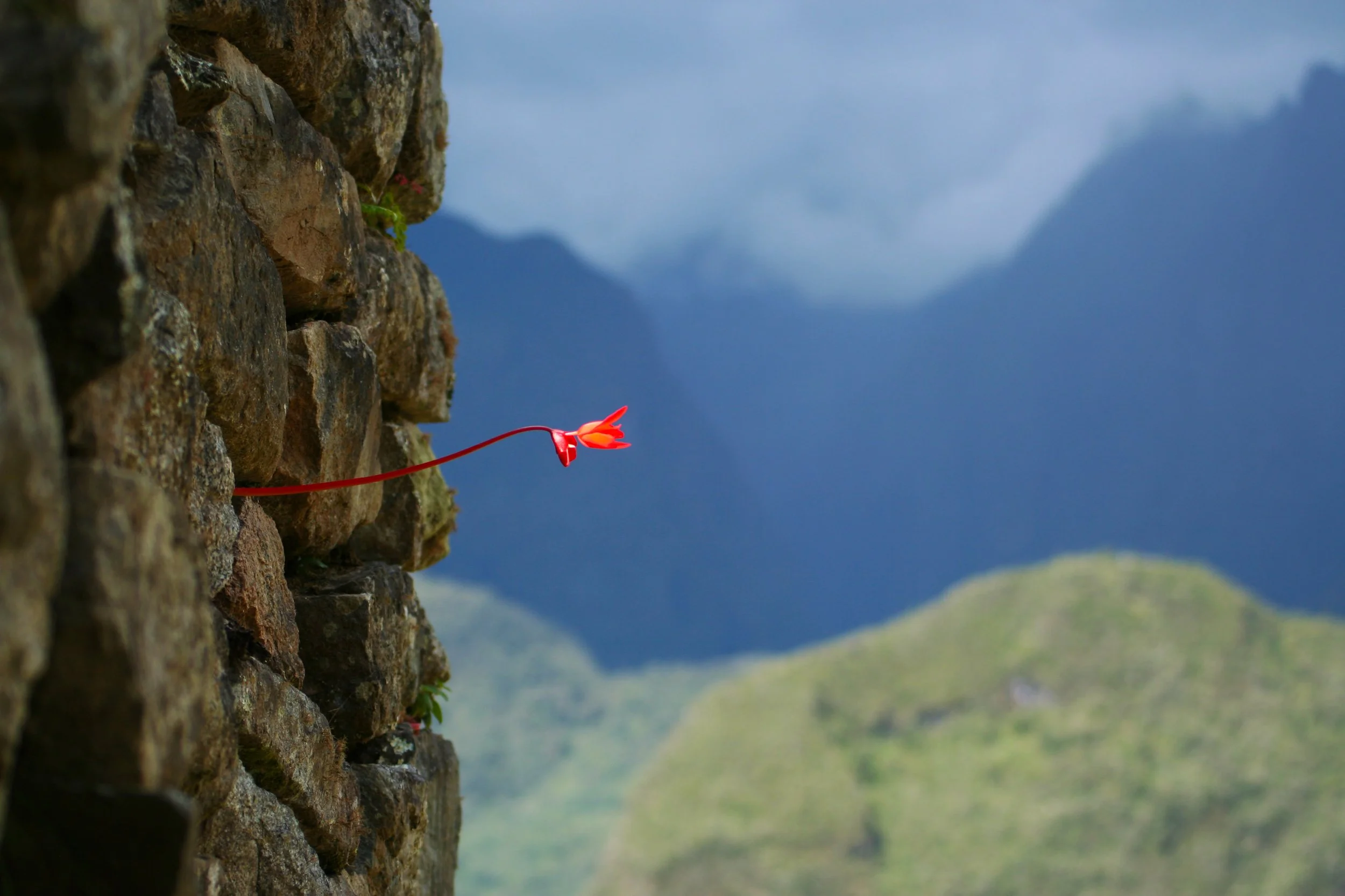 Machu Picchu, Cusco, Peru